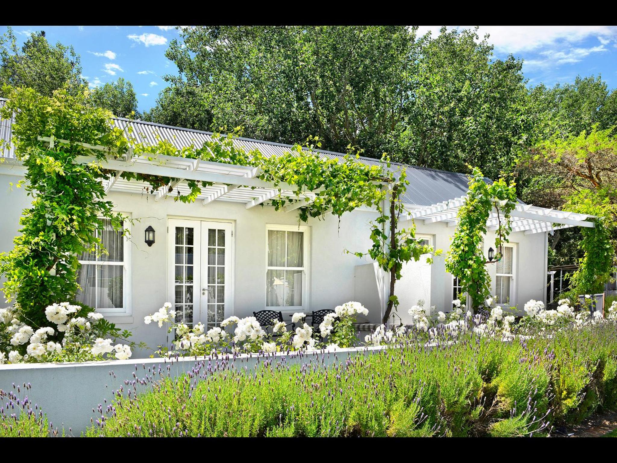 Lavender Farm Boutique Guest House