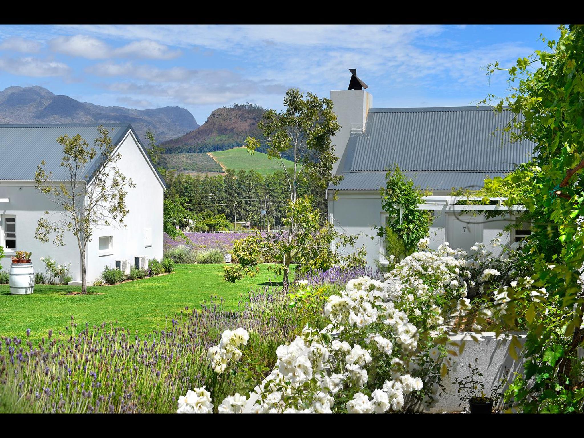 Lavender Farm Boutique Guest House