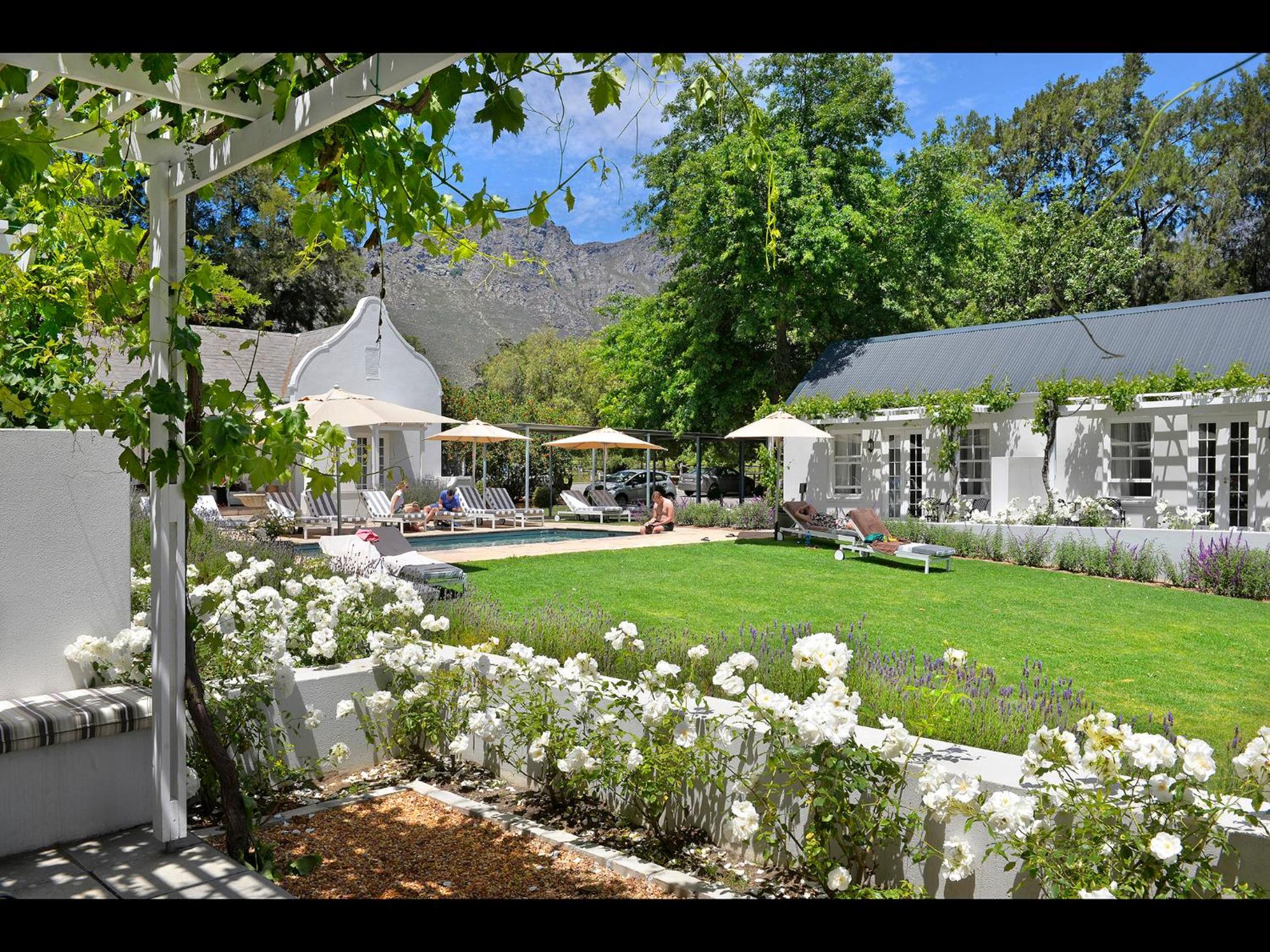 Lavender Farm Boutique Guest House