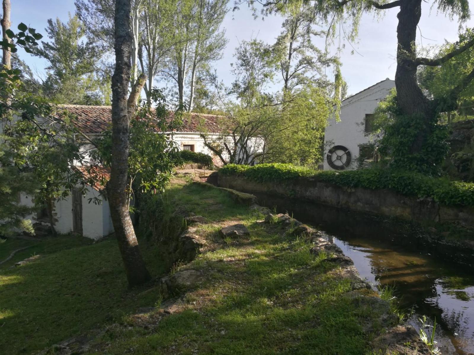 Molino del Feo