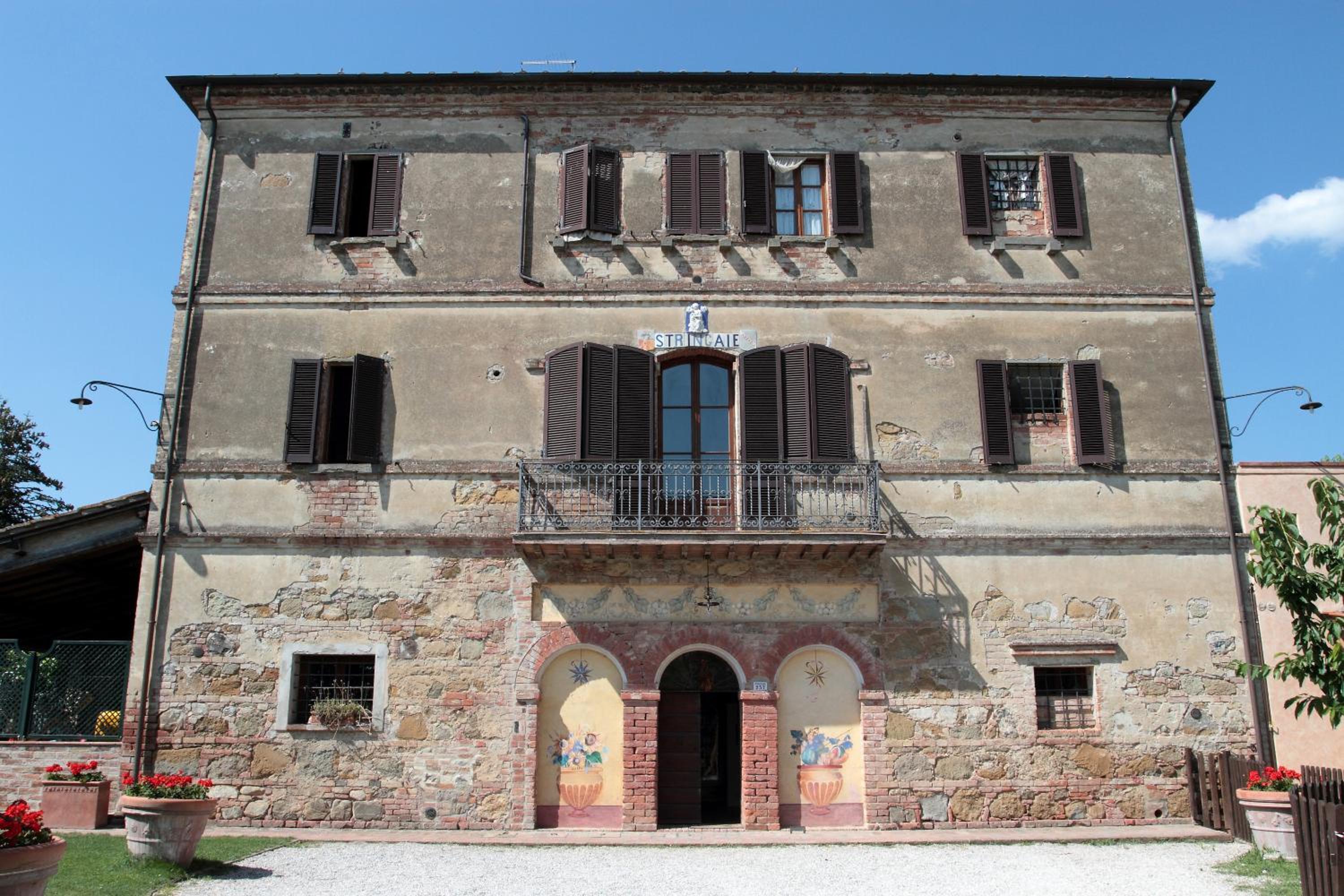 Photo 10
