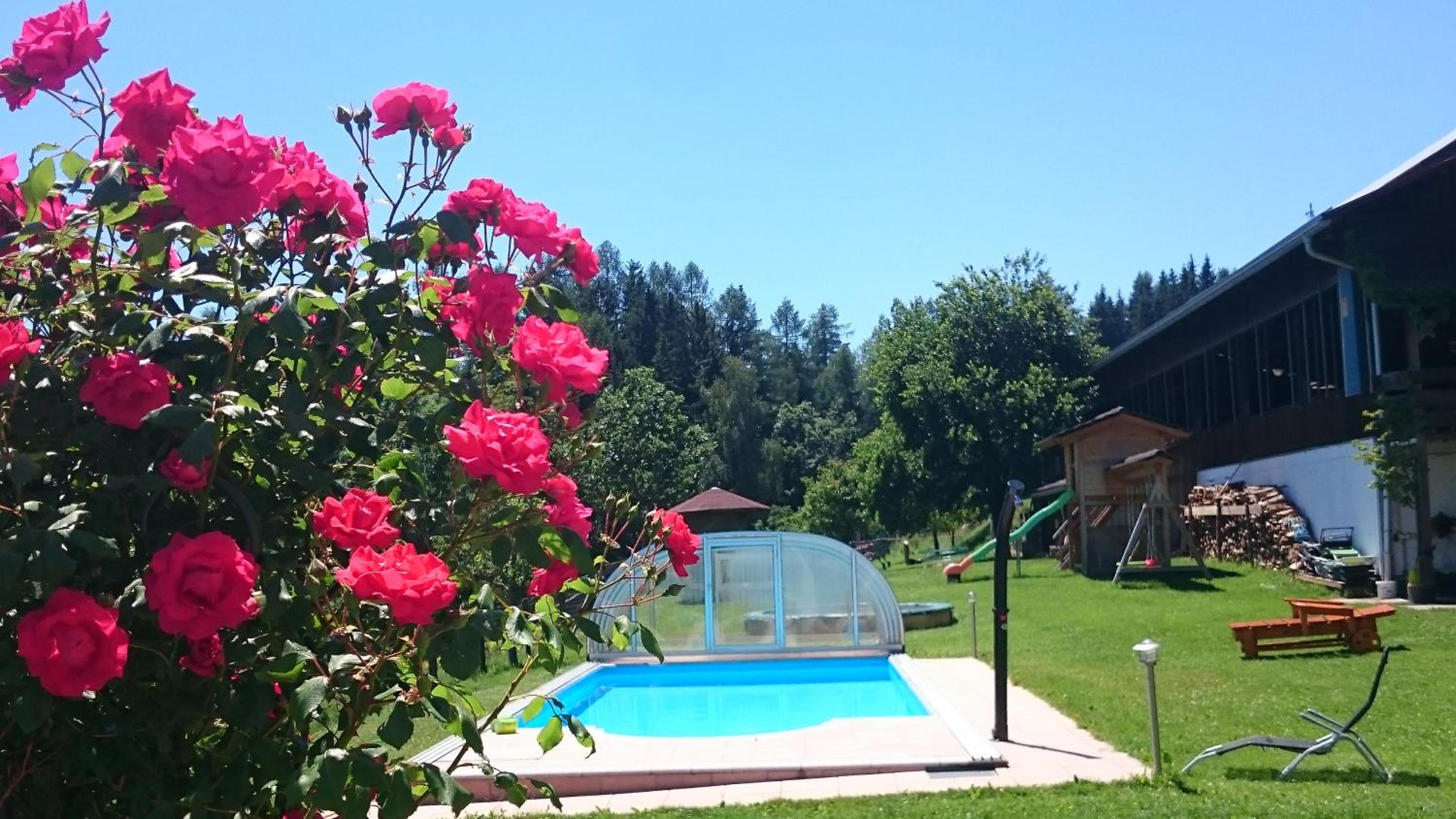ERLEBNISBAUERNHOF Steinerhof in Kärnten