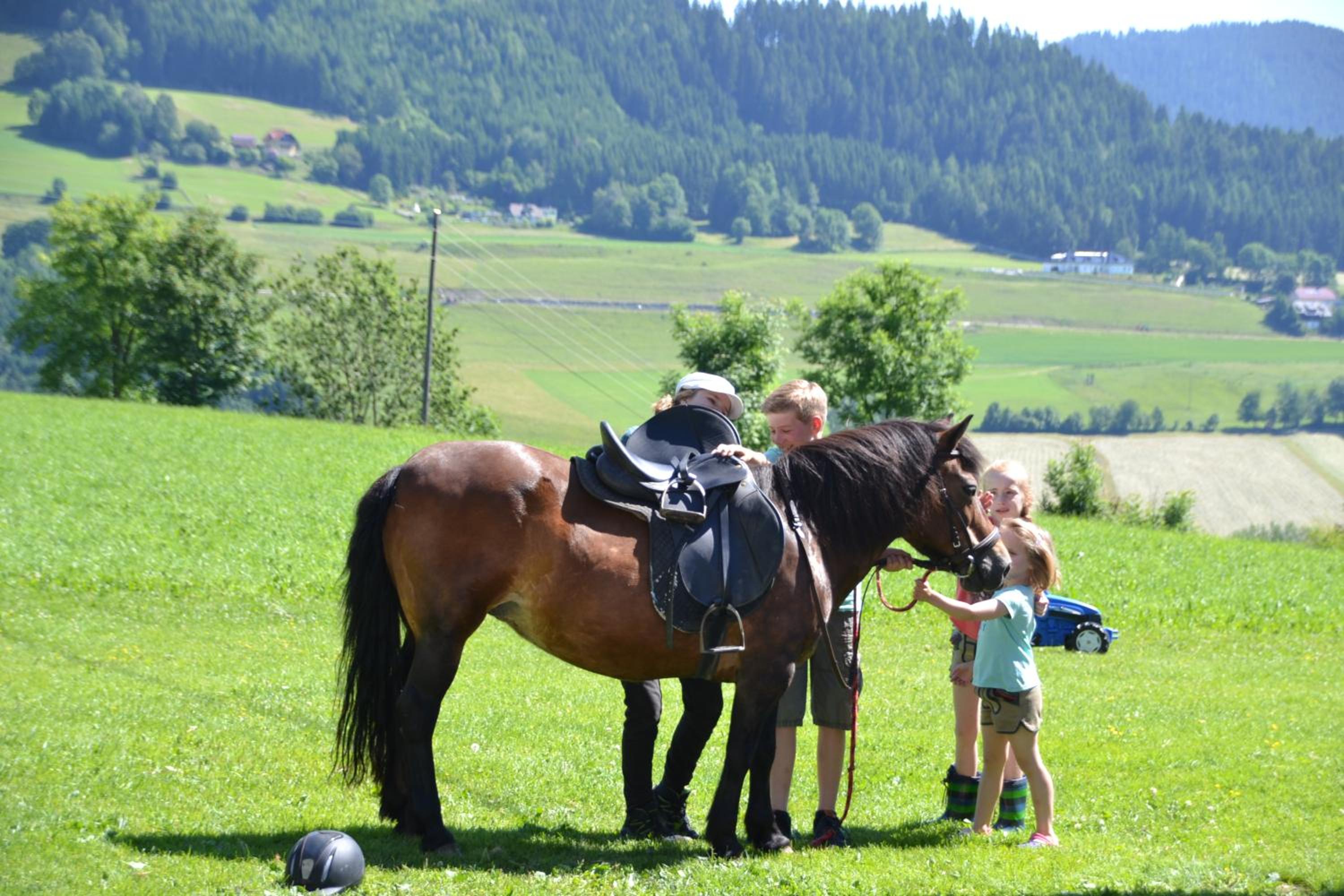 ERLEBNISBAUERNHOF Steinerhof in Kärnten