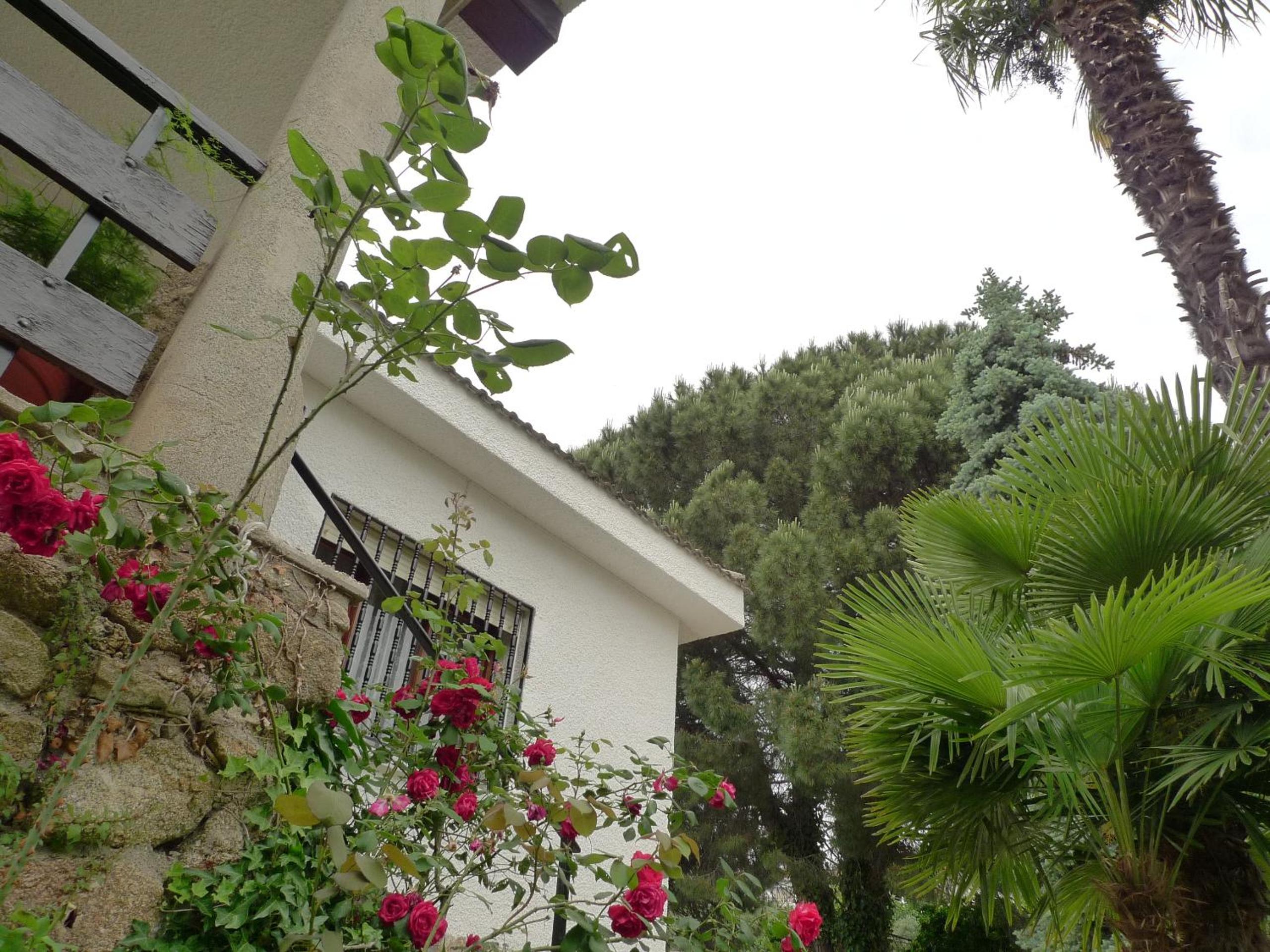 Photo 51