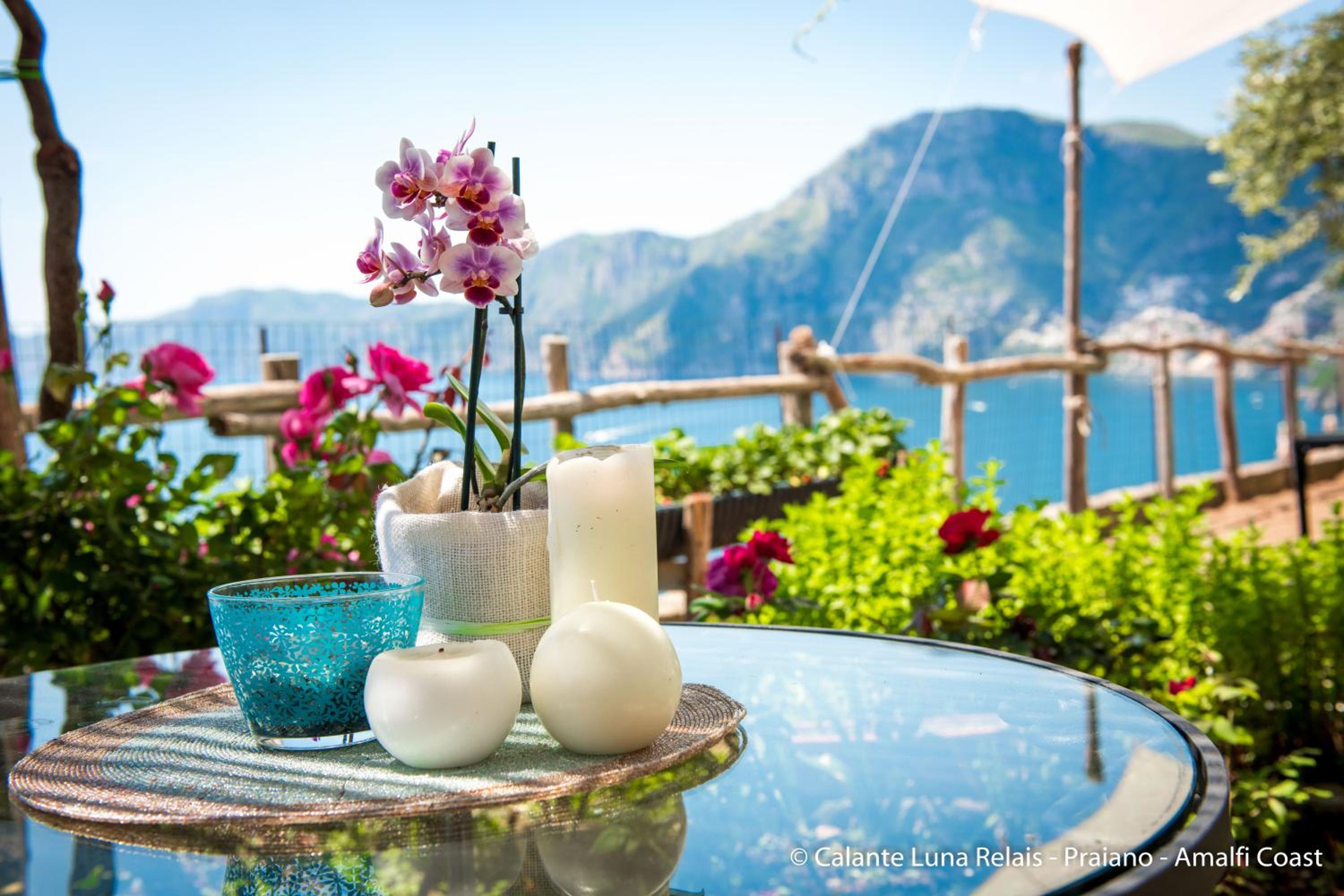 Calante Luna photo 4