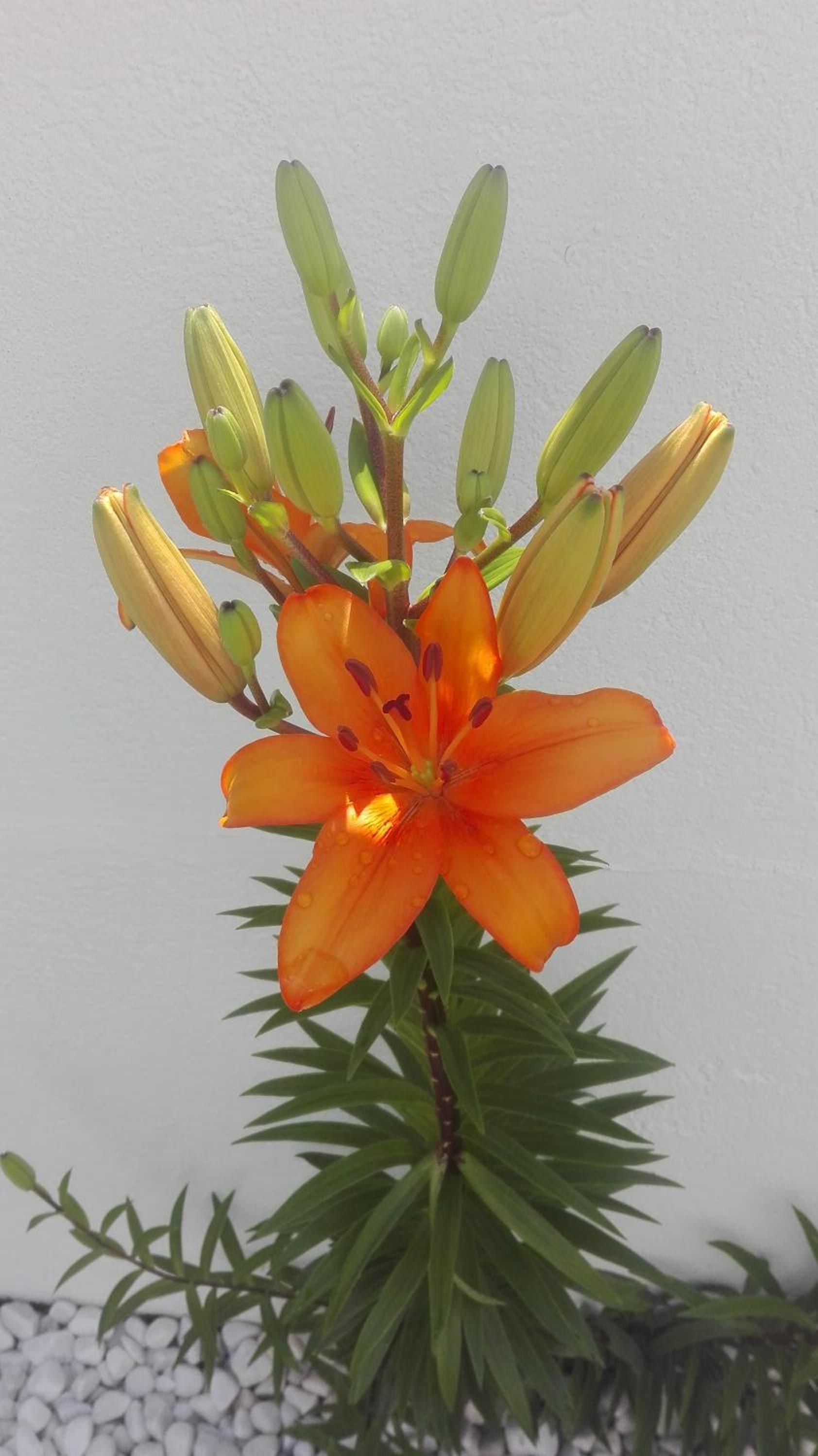 Photo 26