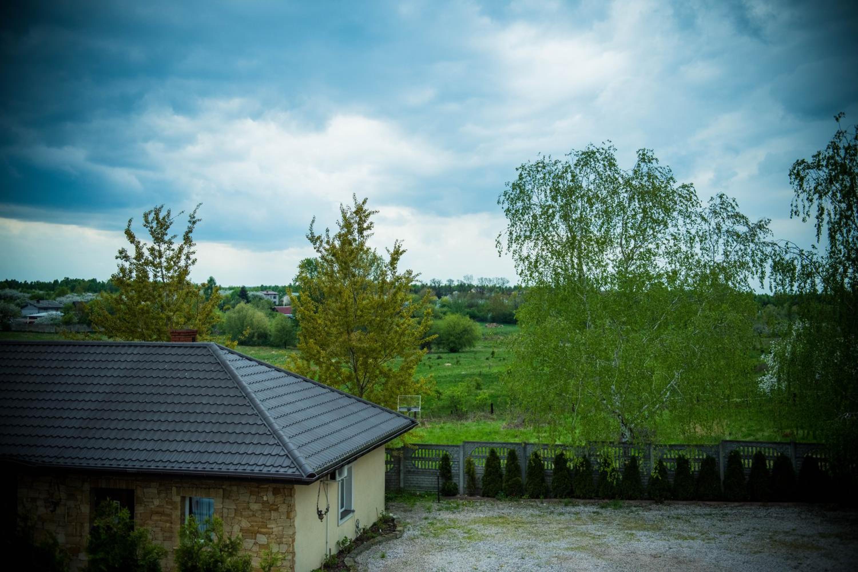 Photo 41