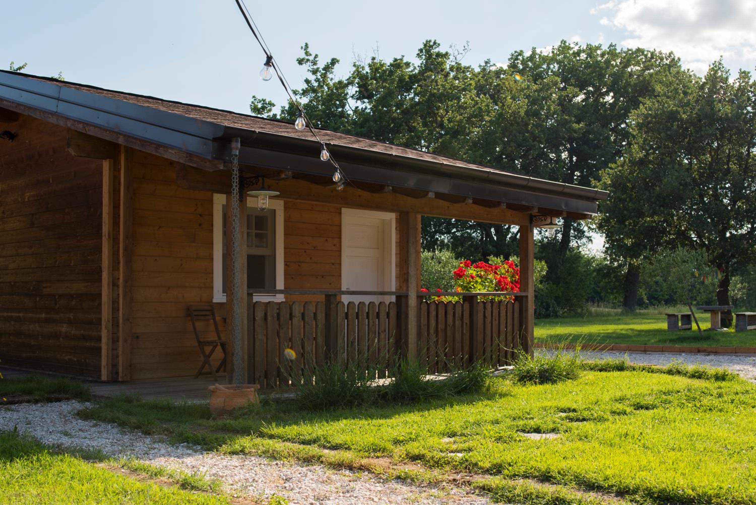Evolution Camp