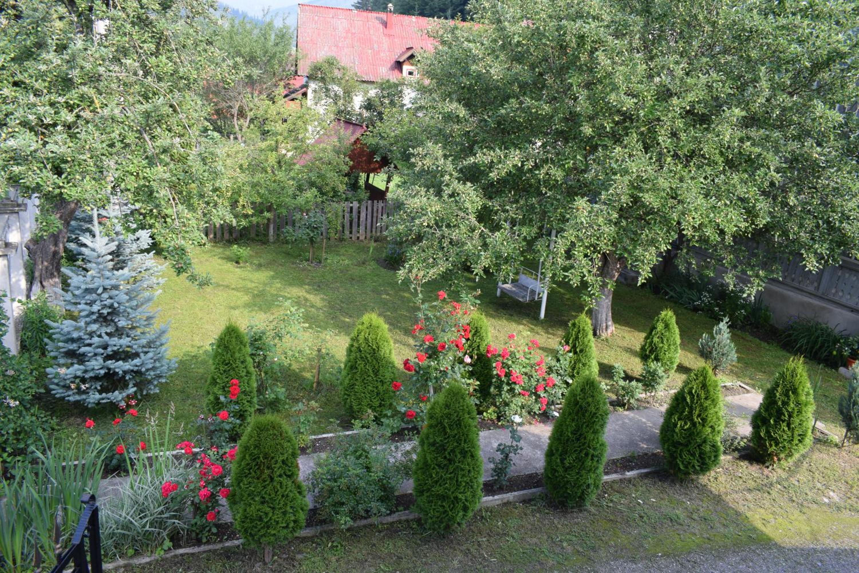 Photo 29