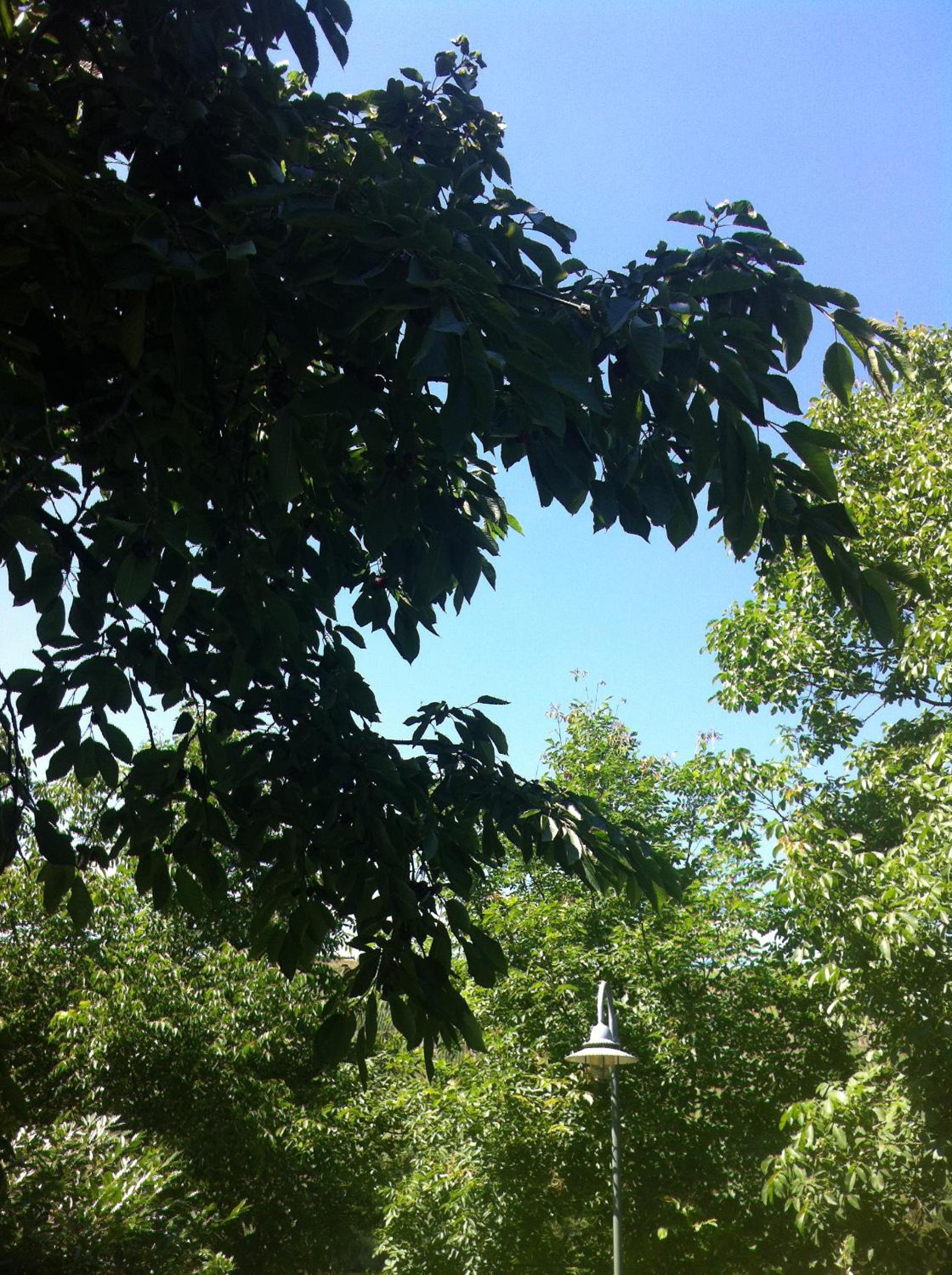 Photo 33