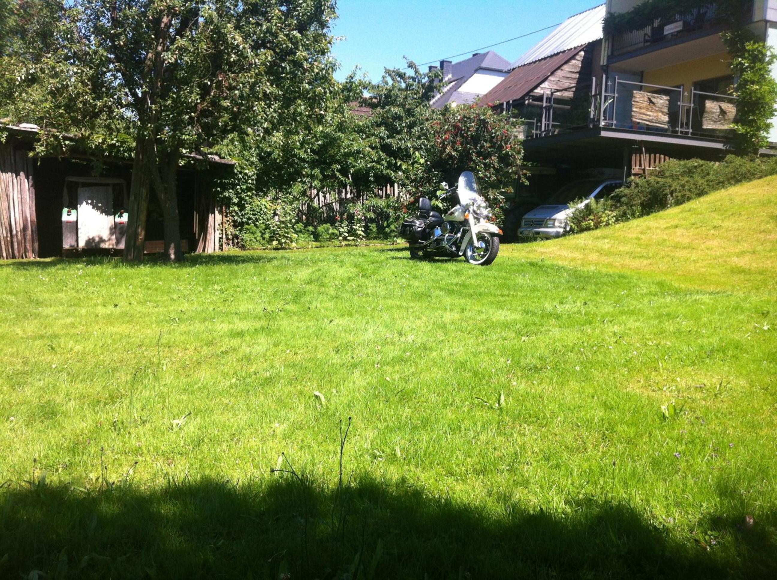 Photo 29