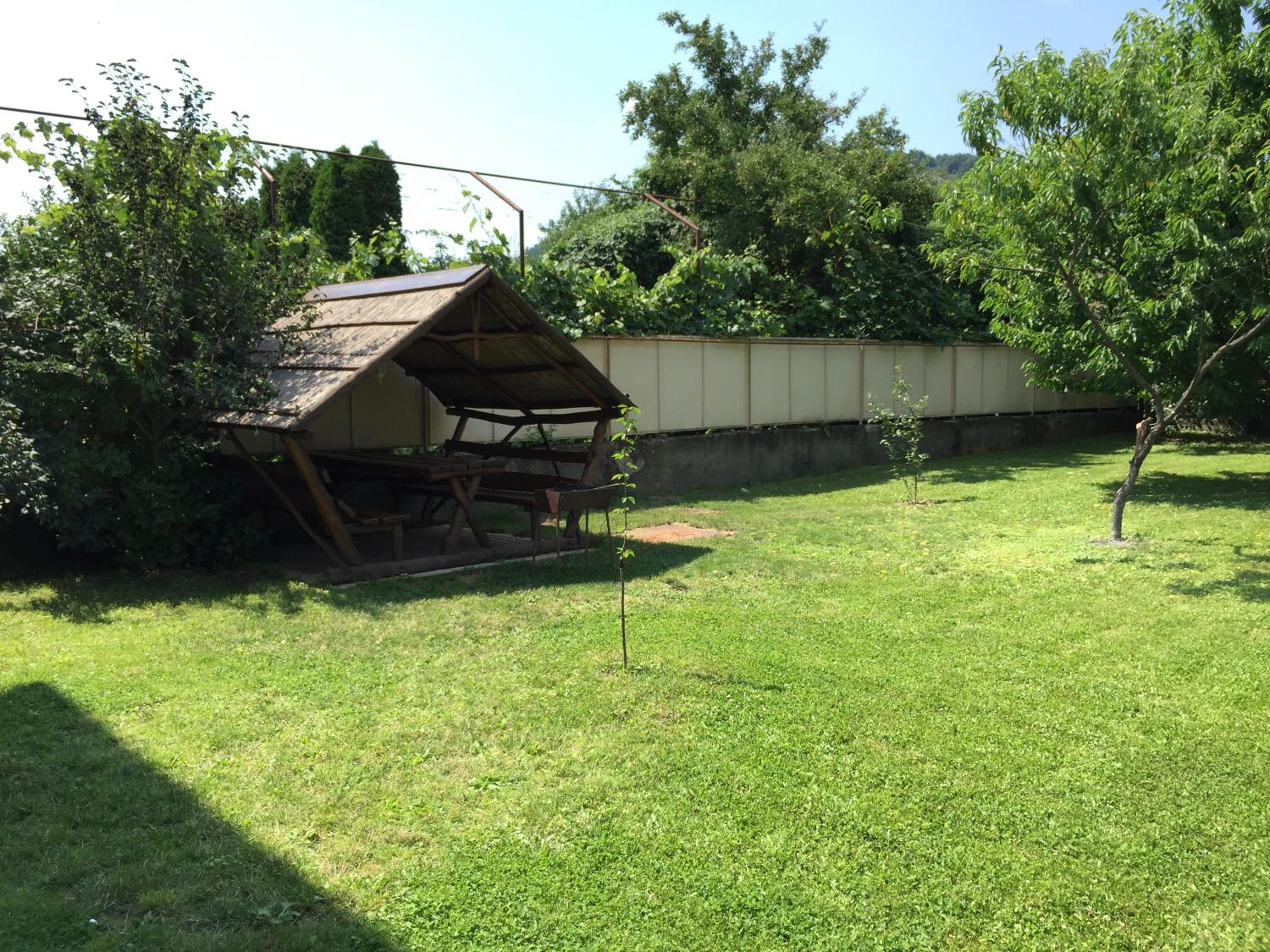 Photo 11