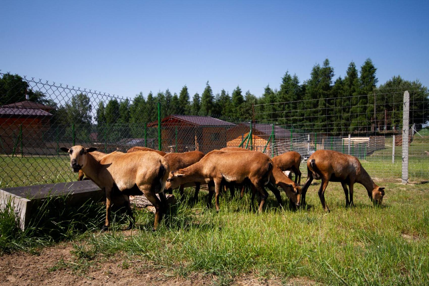 Photo 44
