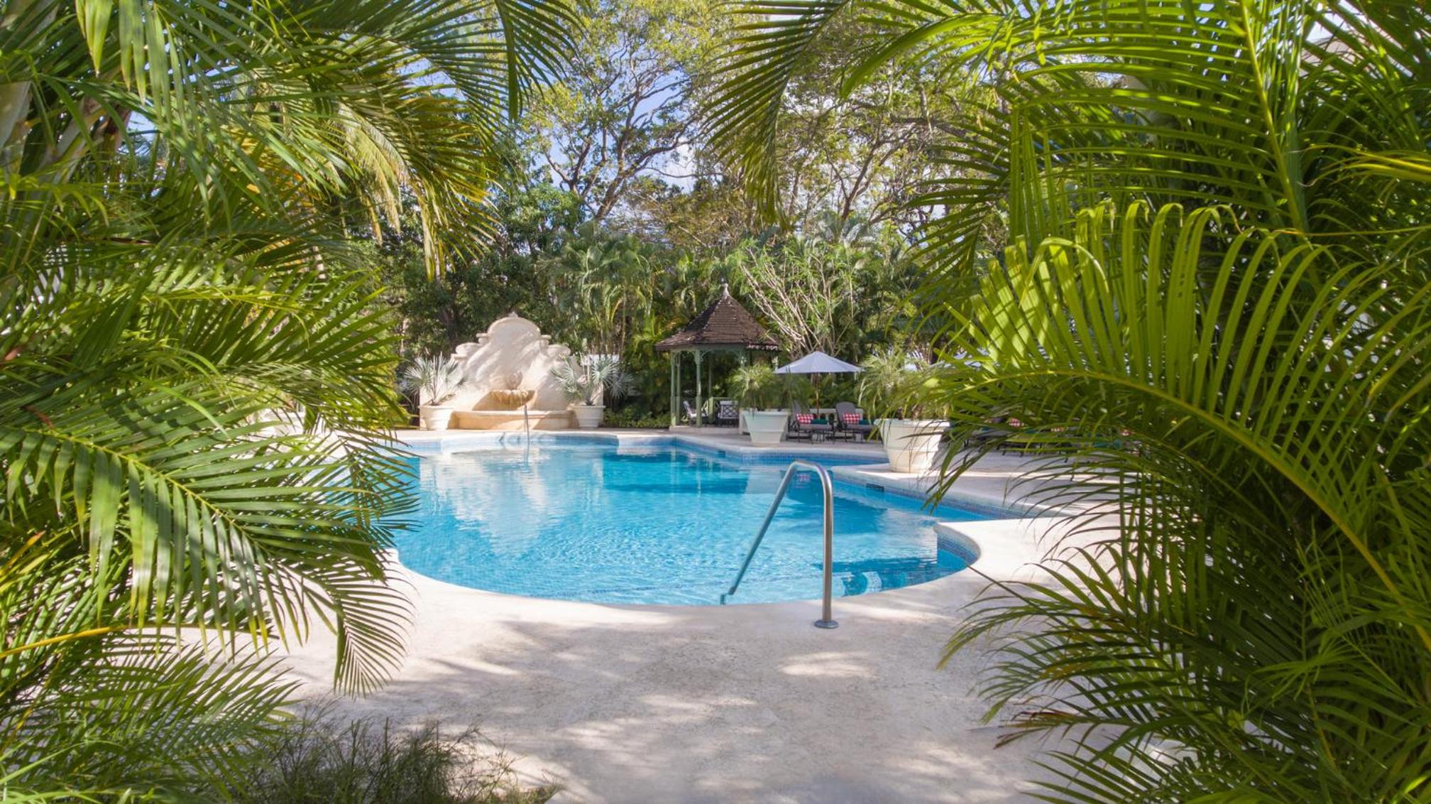 Coral Reef Club