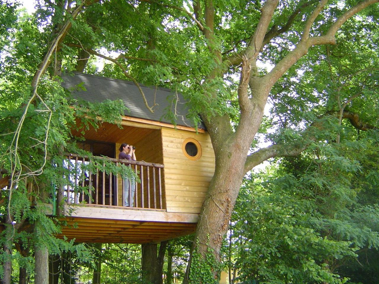 La Cabane aux Secrets - Au Milieu de Nulle Part view 2