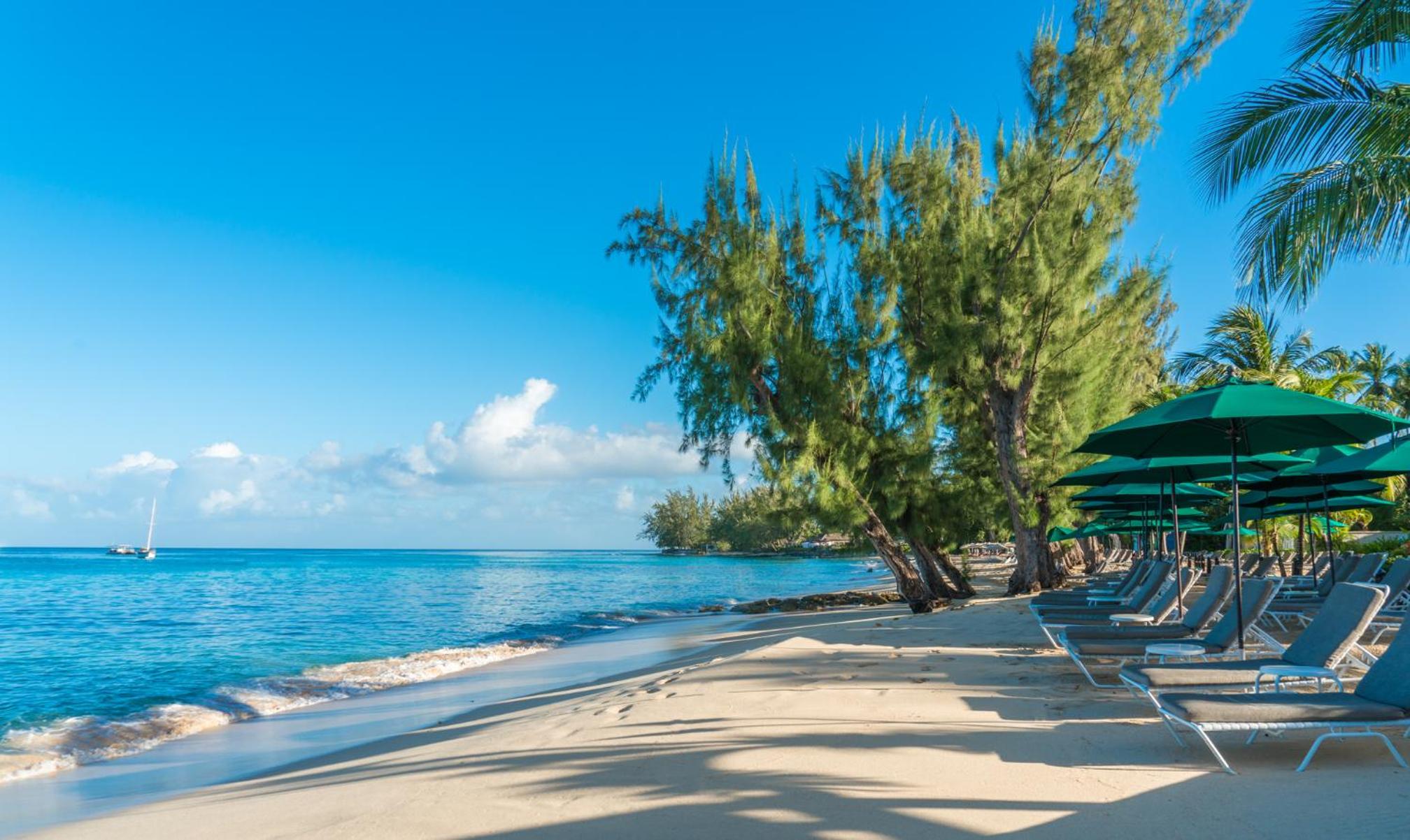 Coral Reef Club