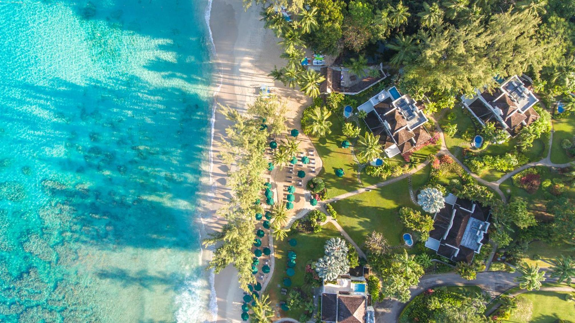 Coral Reef Club