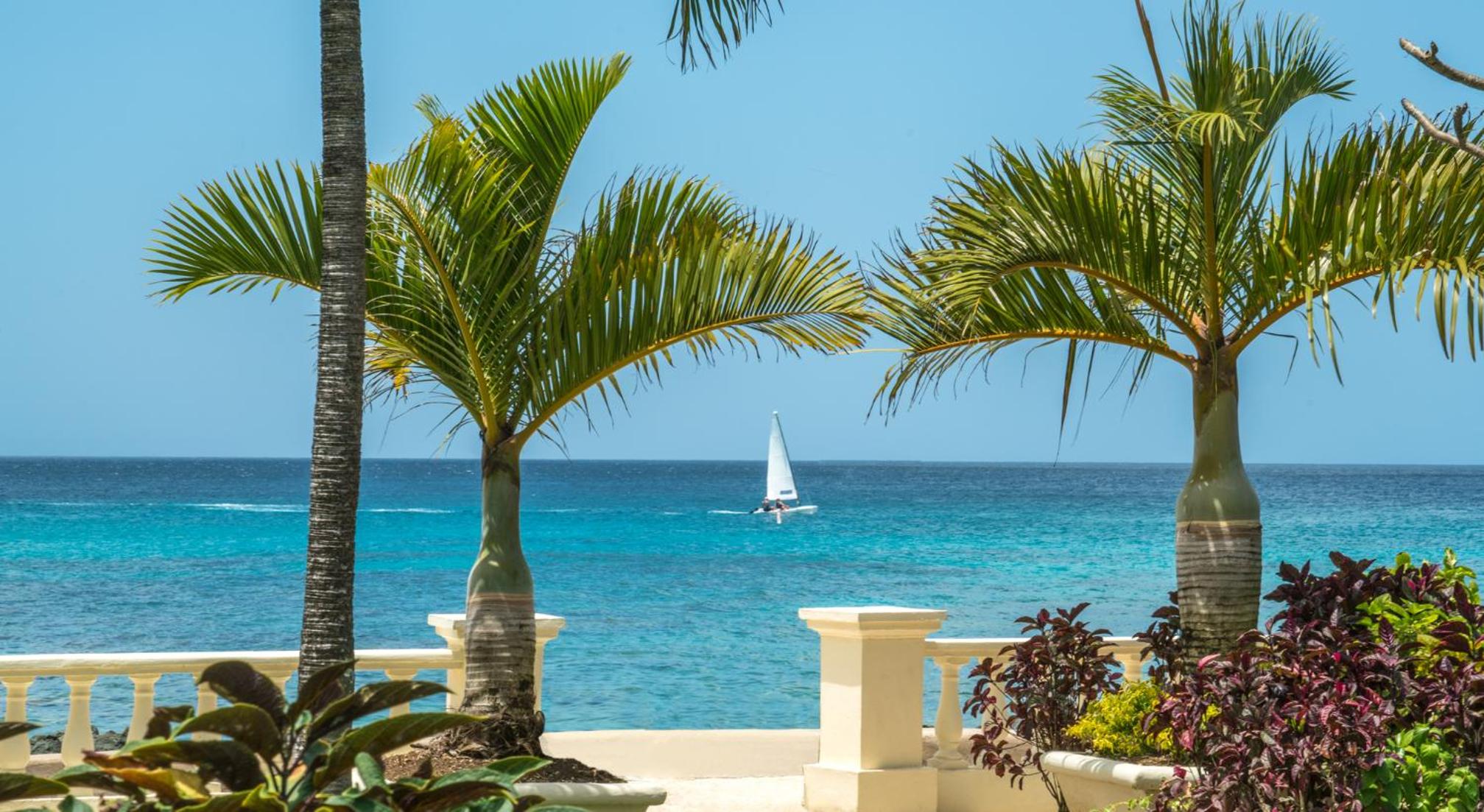 Coral Reef Club