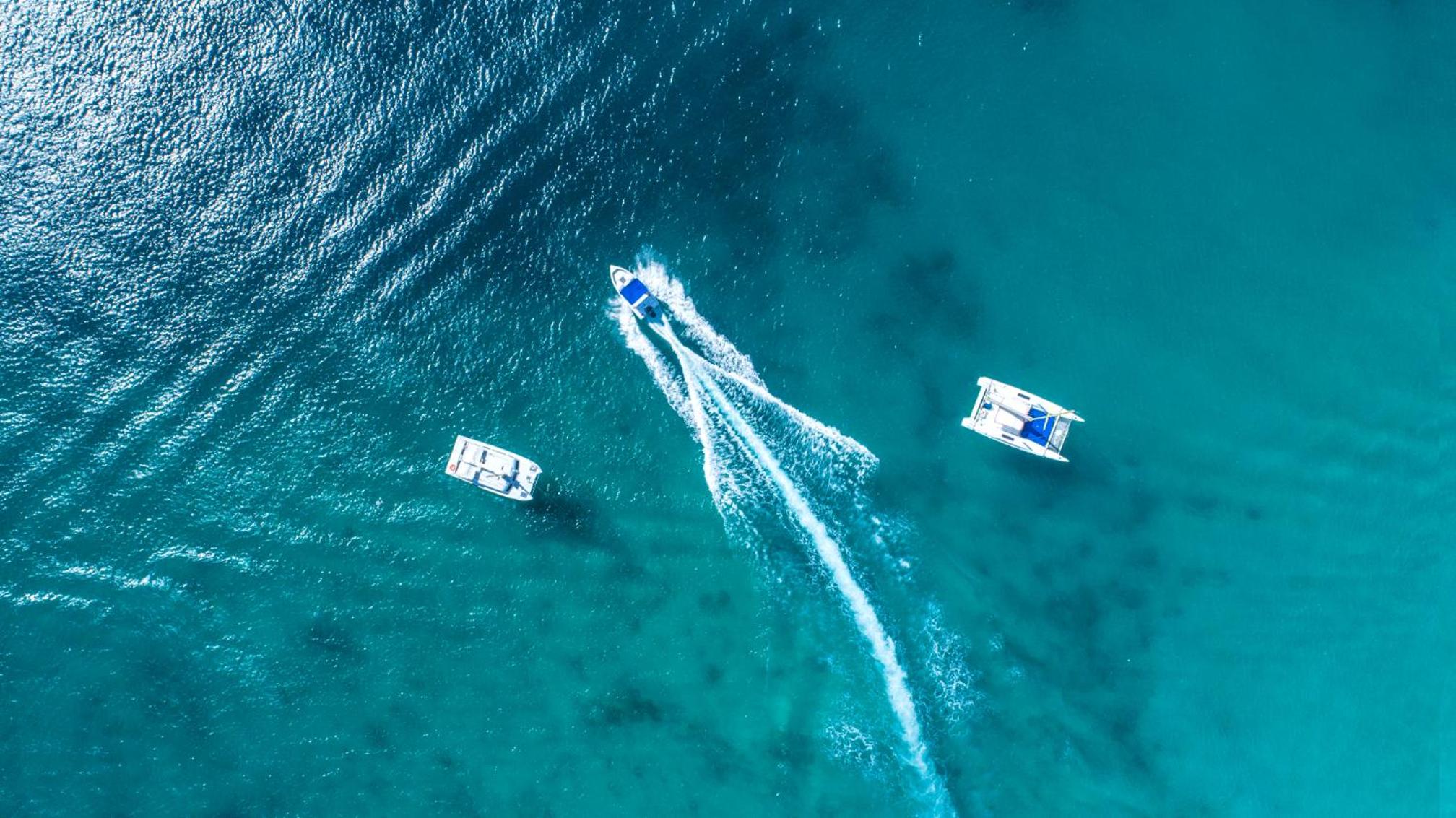 Coral Reef Club