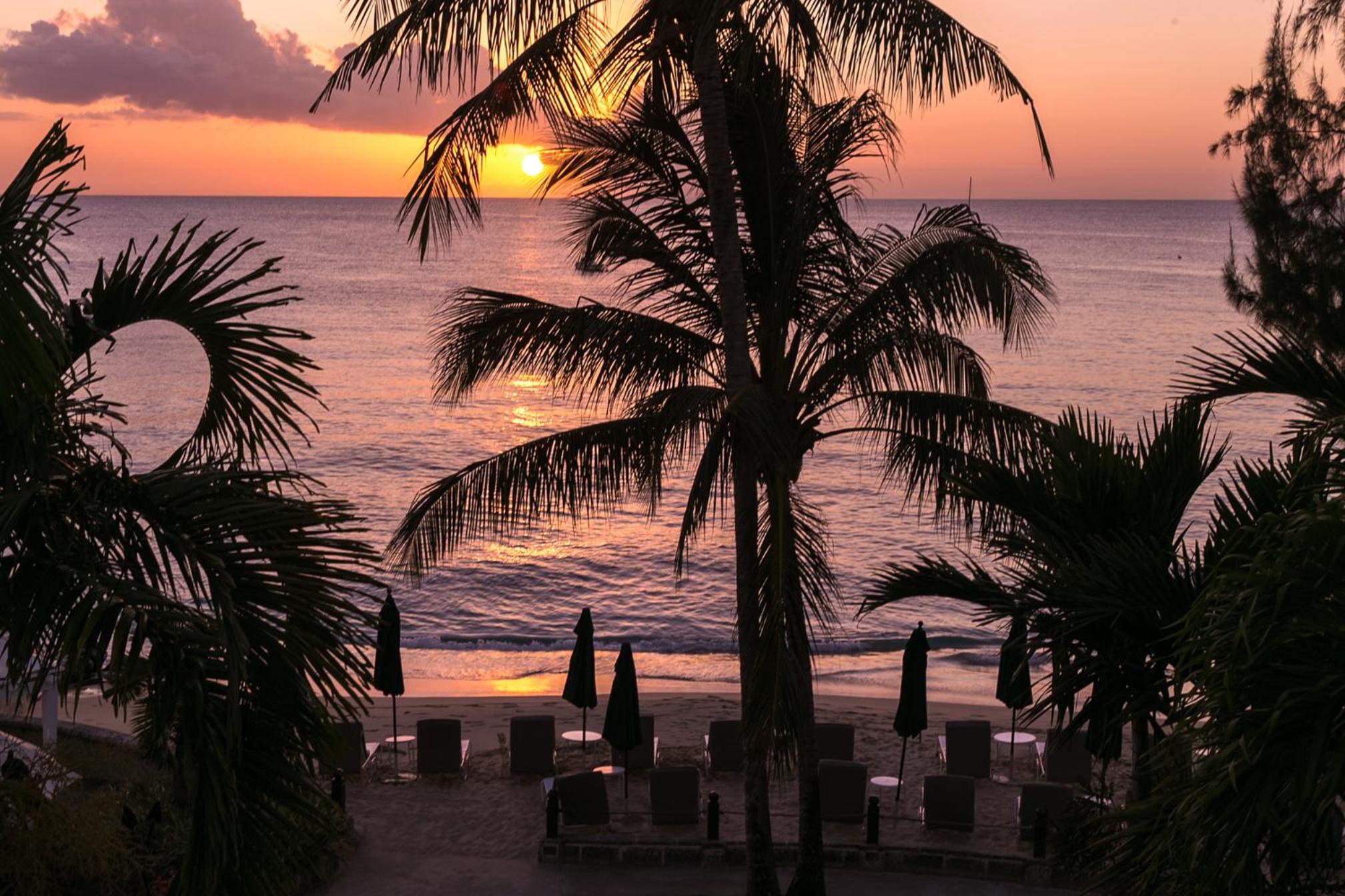 Coral Reef Club