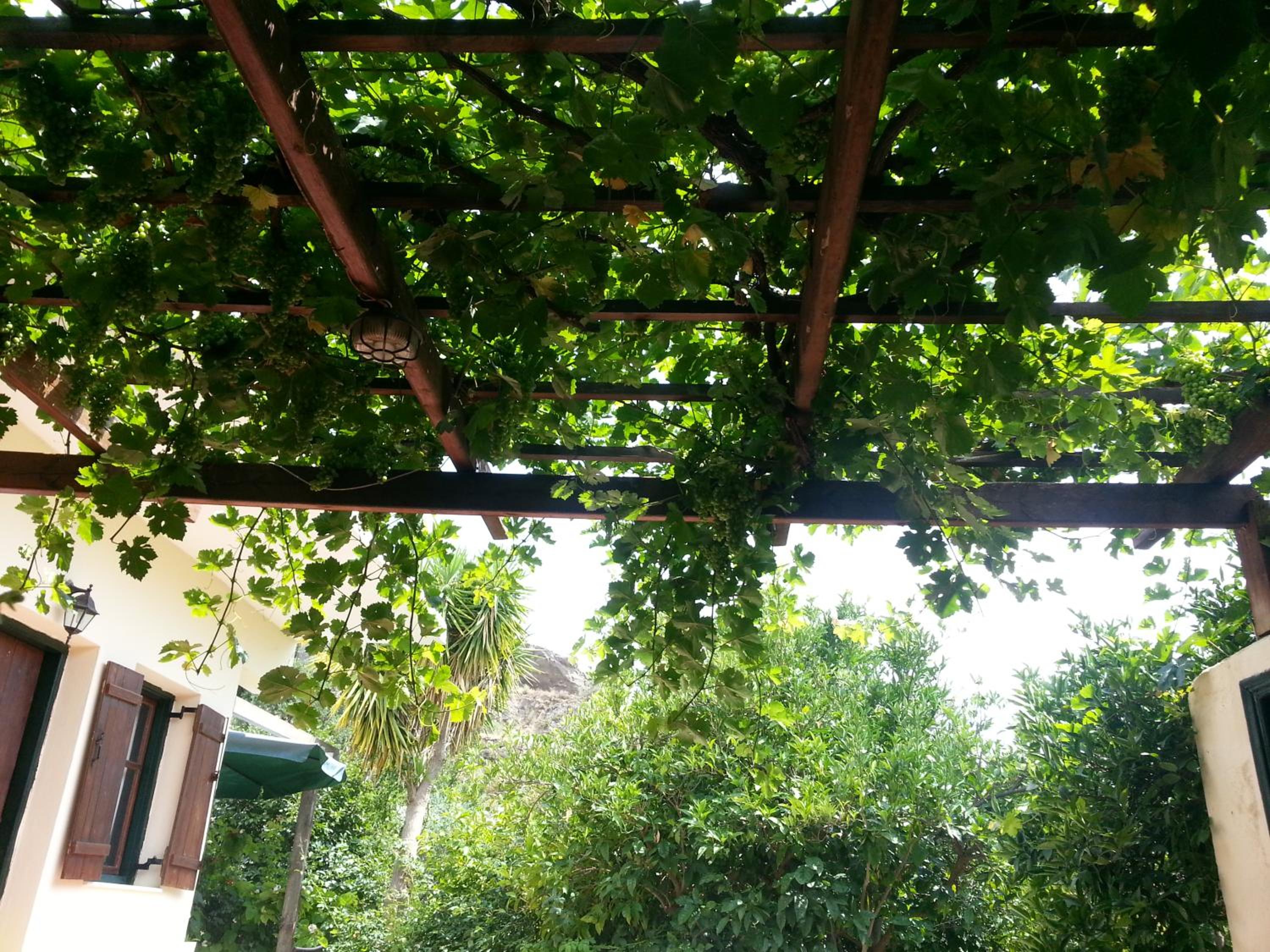 Photo 44