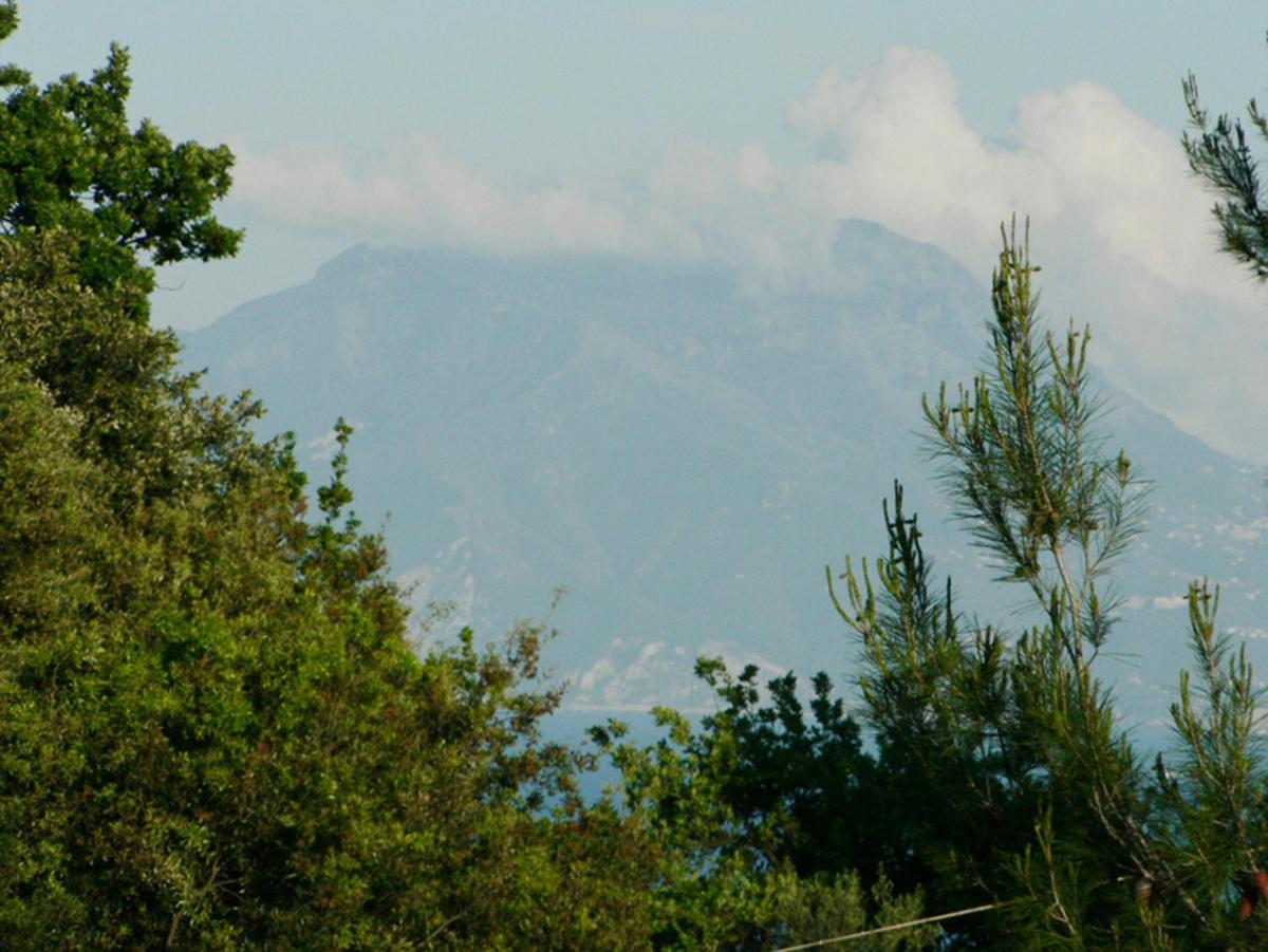 Residenza Le Rose Villa D'Arte