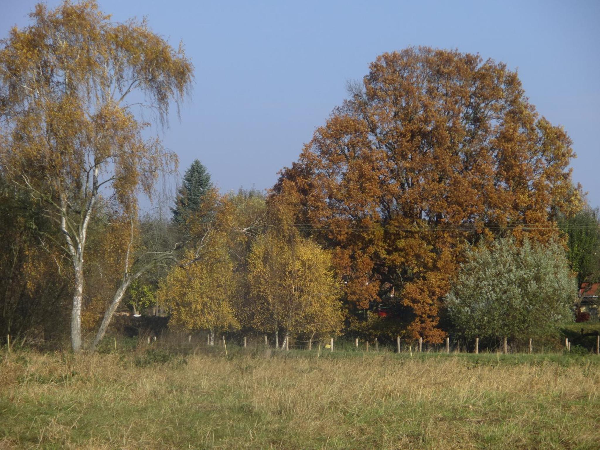 Photo 22