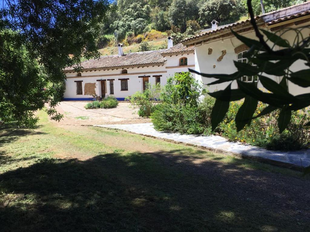 Photo 42