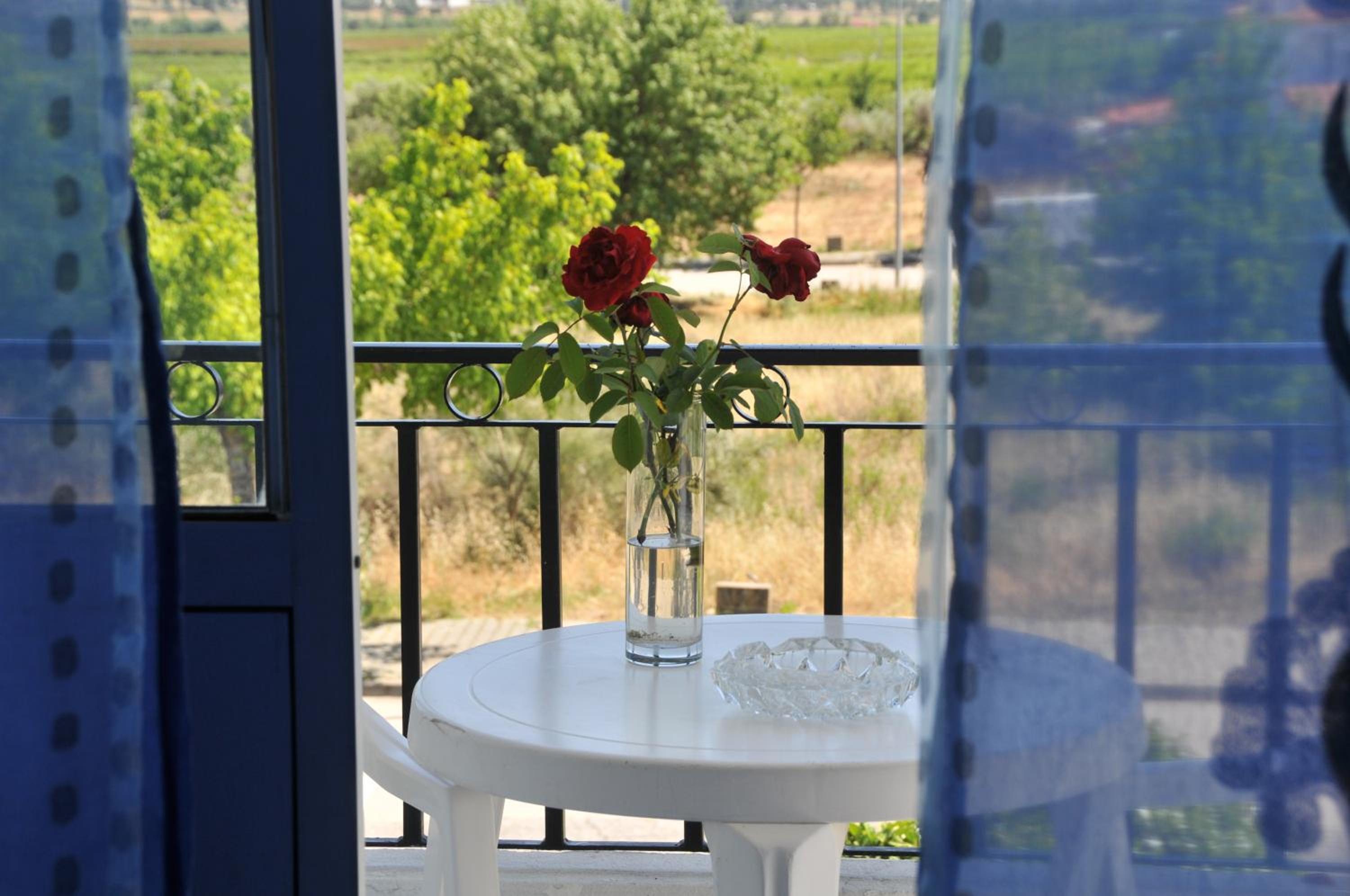 Casa da Lardosa view 3