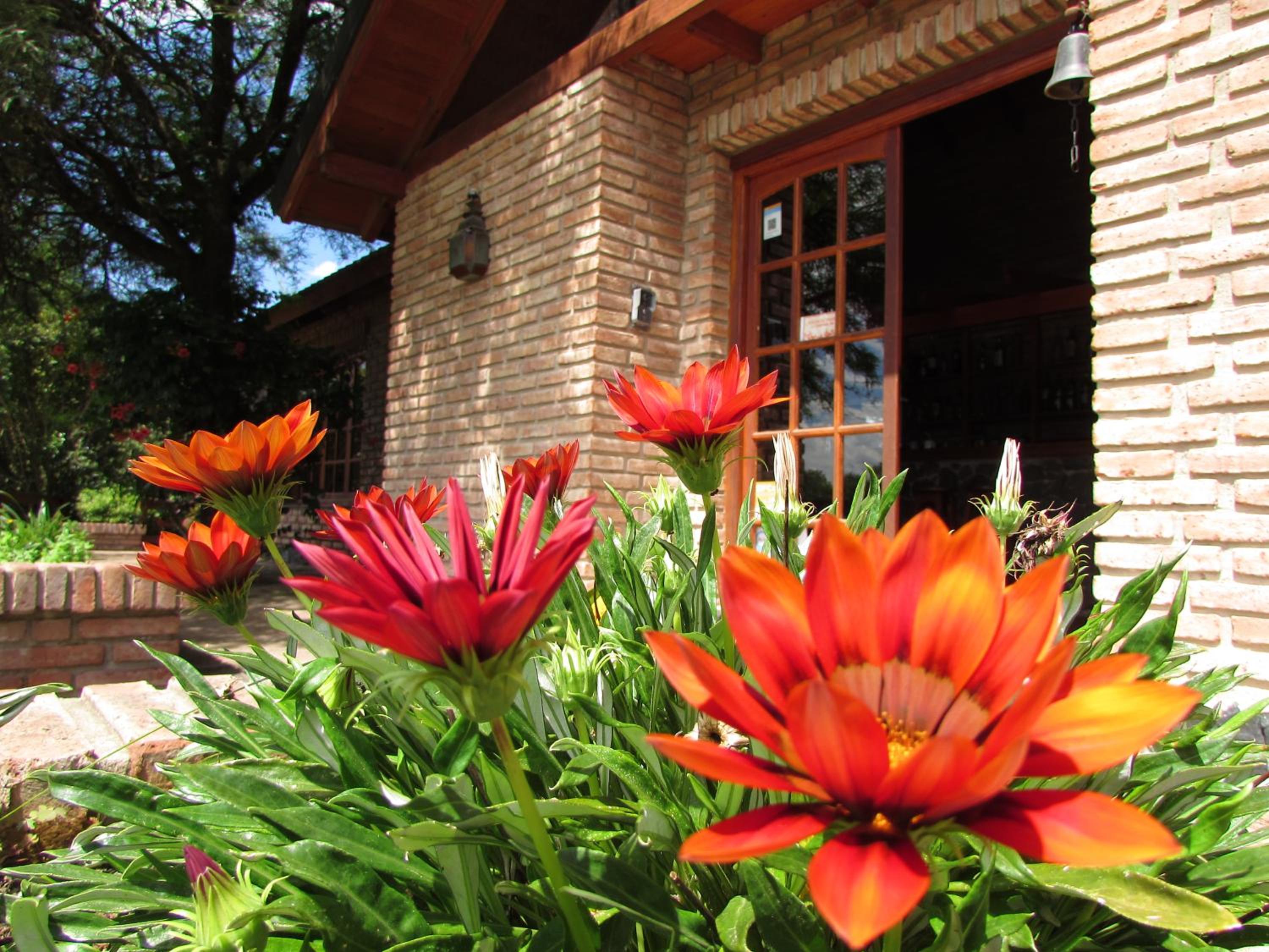 Cabañas Mirasoles