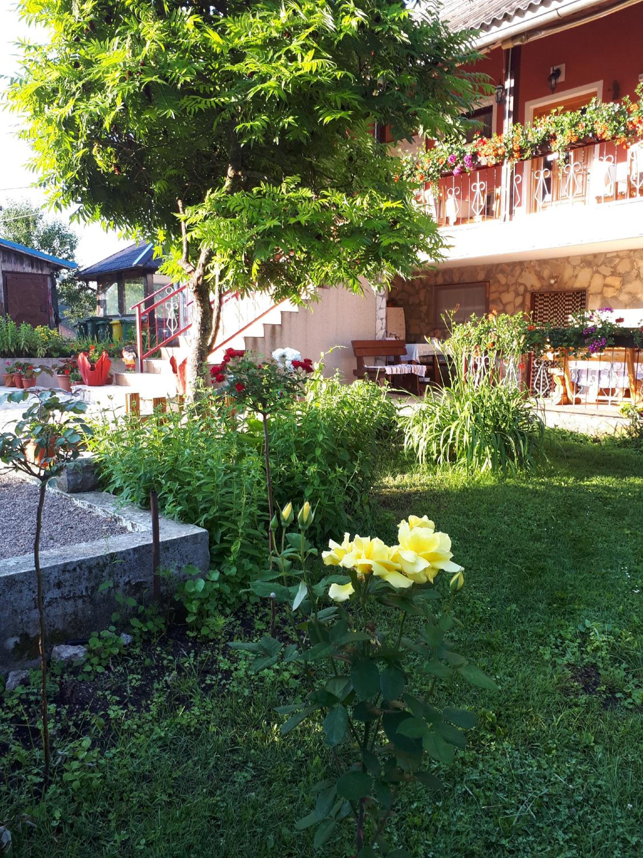 Photo 26