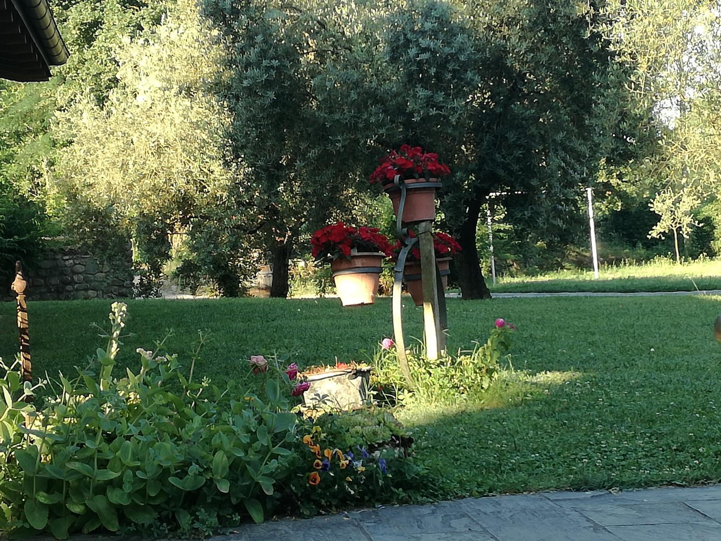 Photo 46