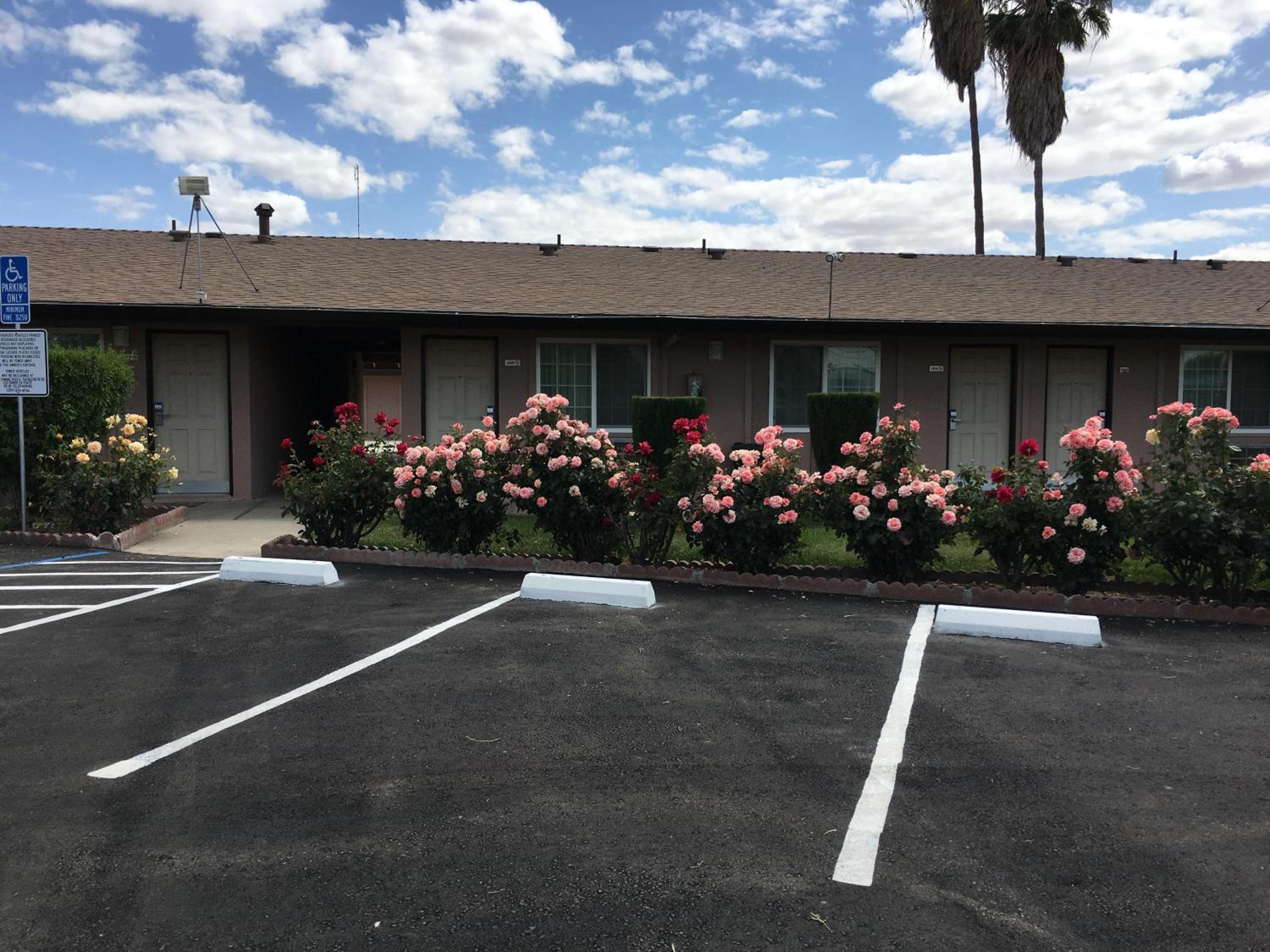 Los Banos Vacations - Maple Inn and Suites Los Banos - Property Image 3