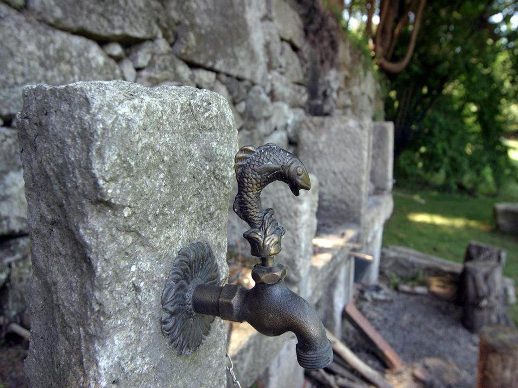 Photo 42
