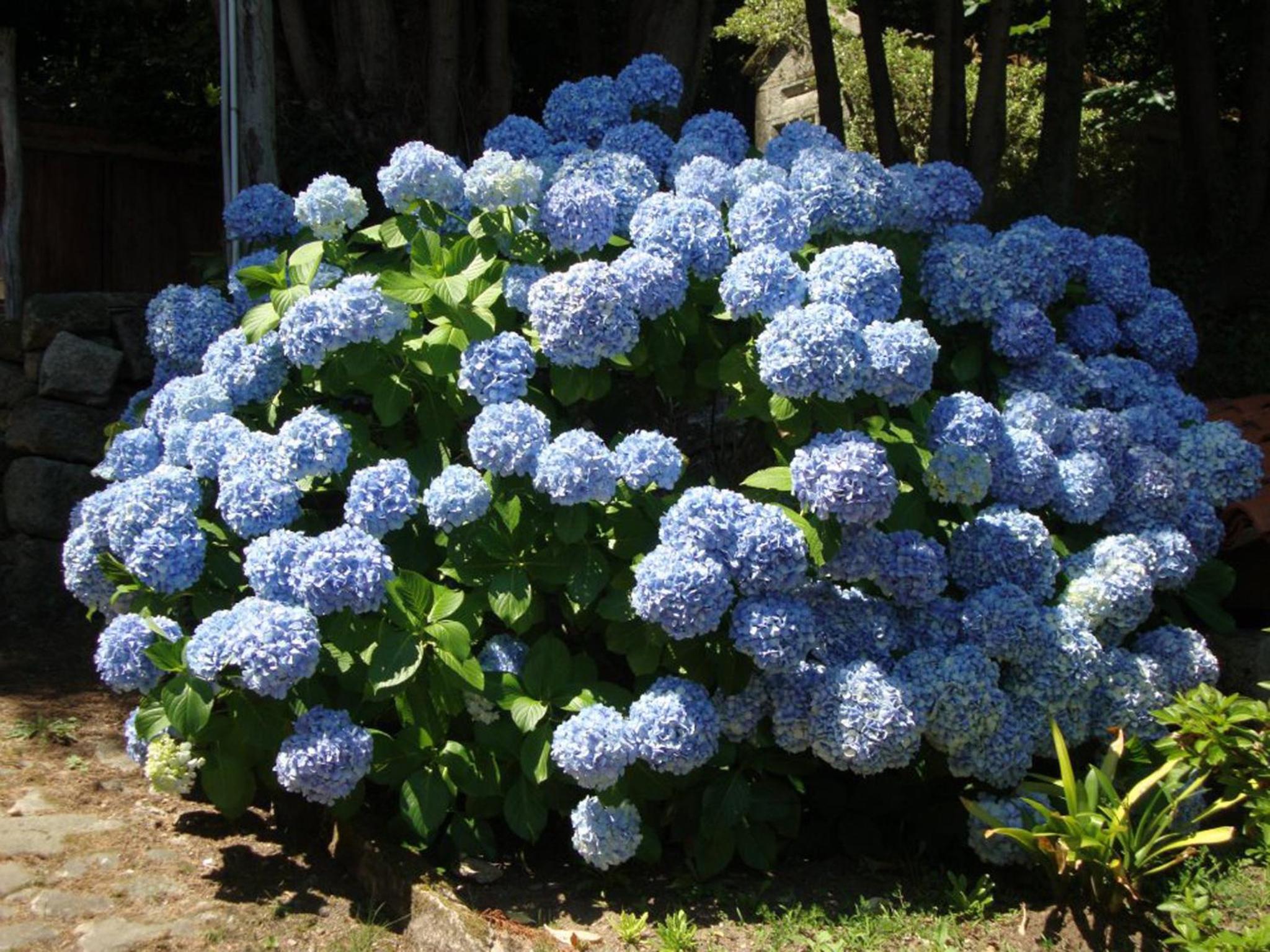 Photo 47