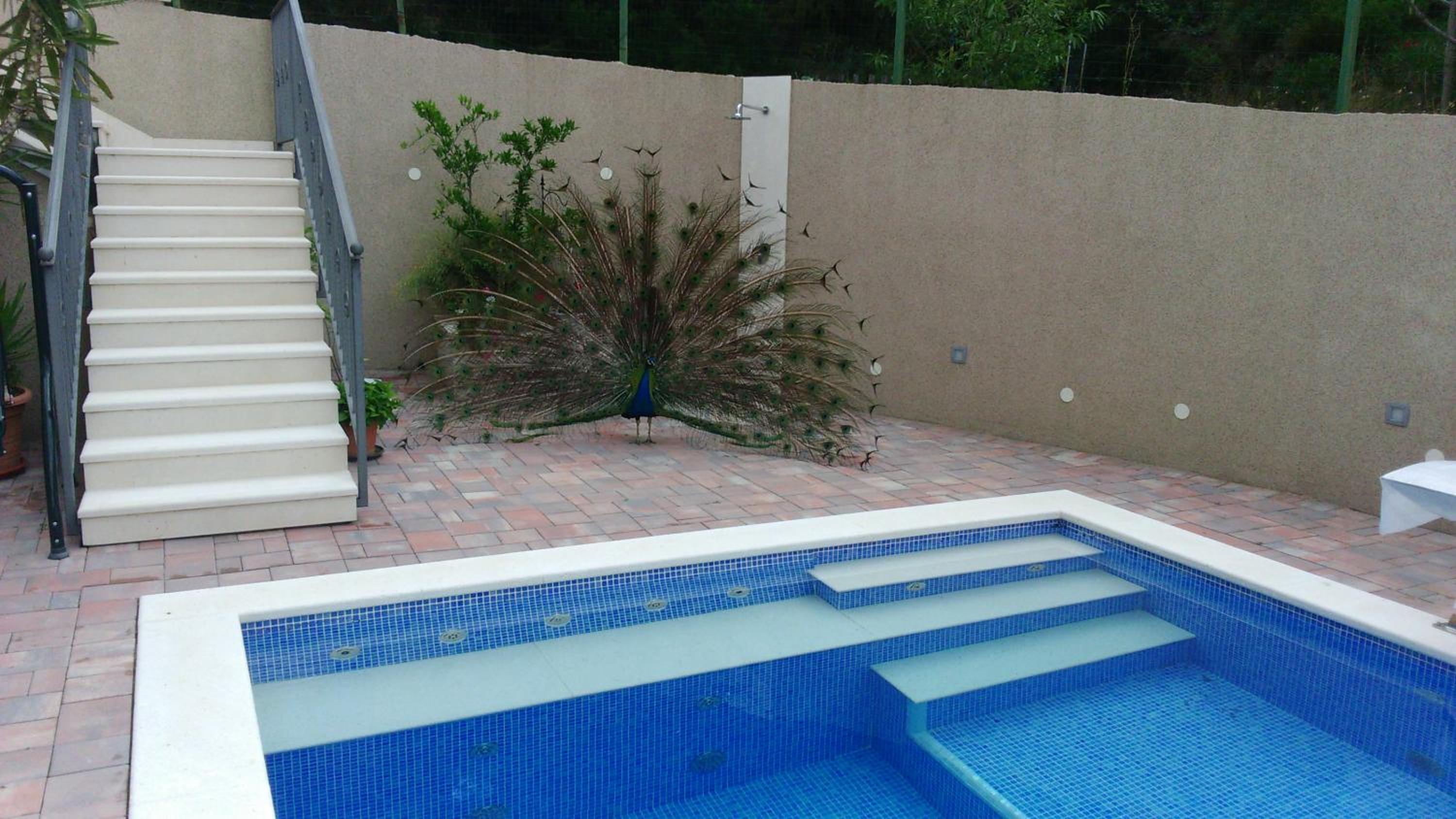 Photo 38