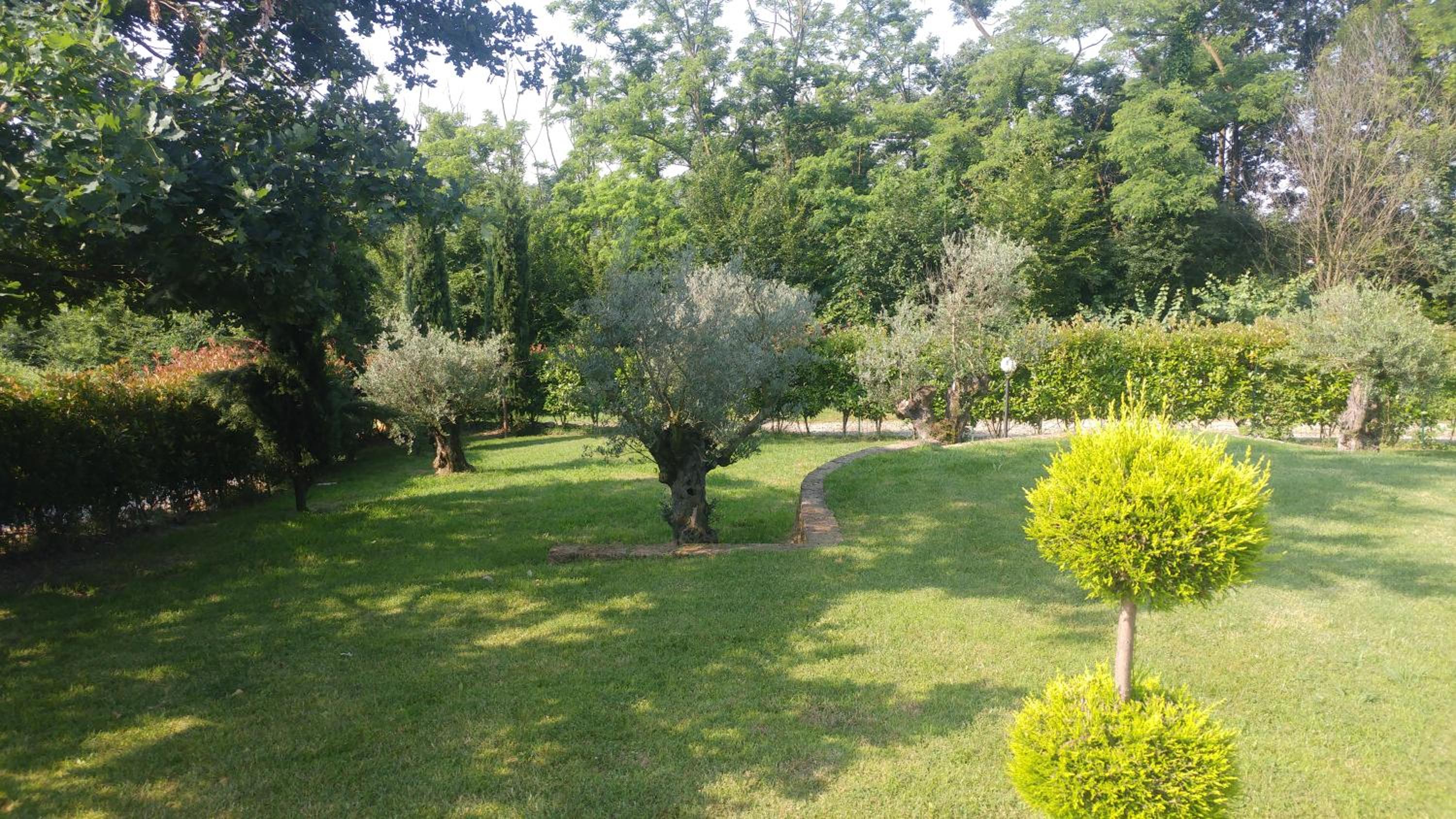 Photo 21