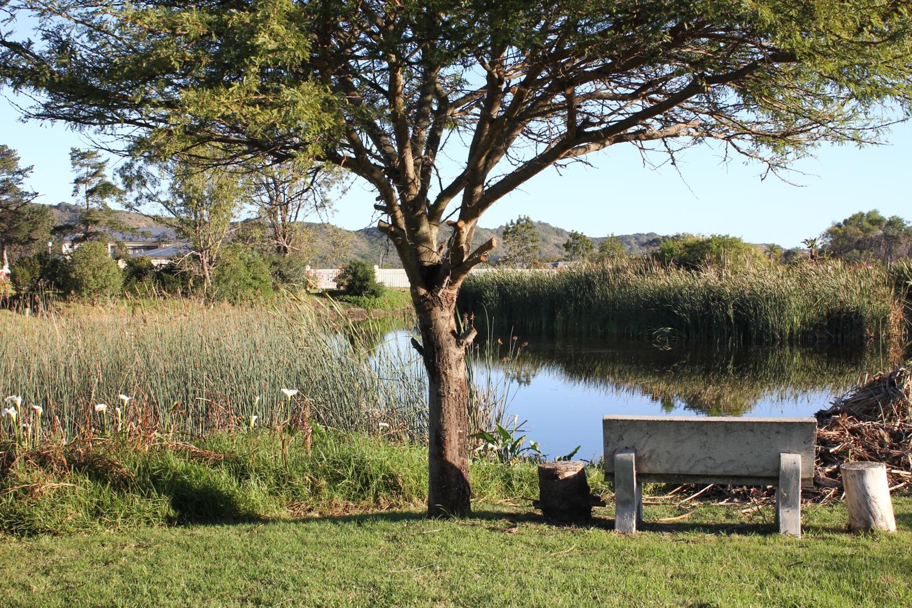 Hubbs Place, photo 11