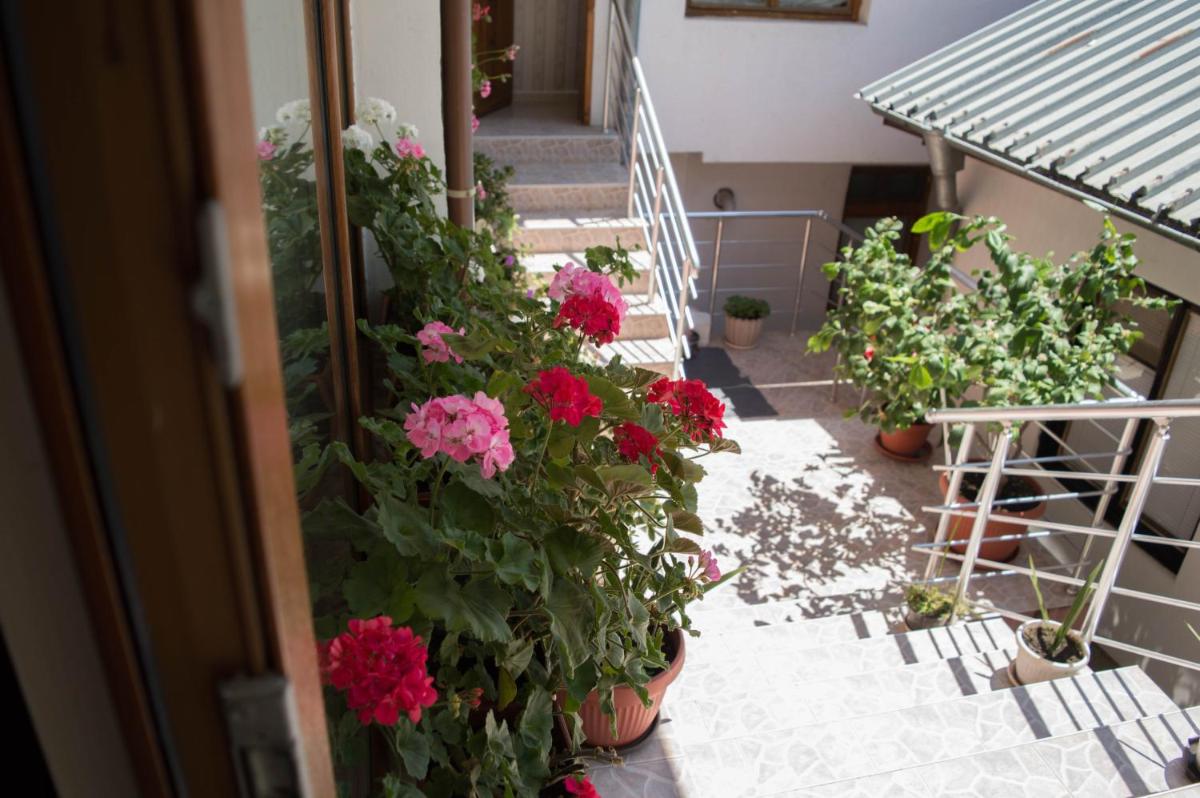 Guest House Byki