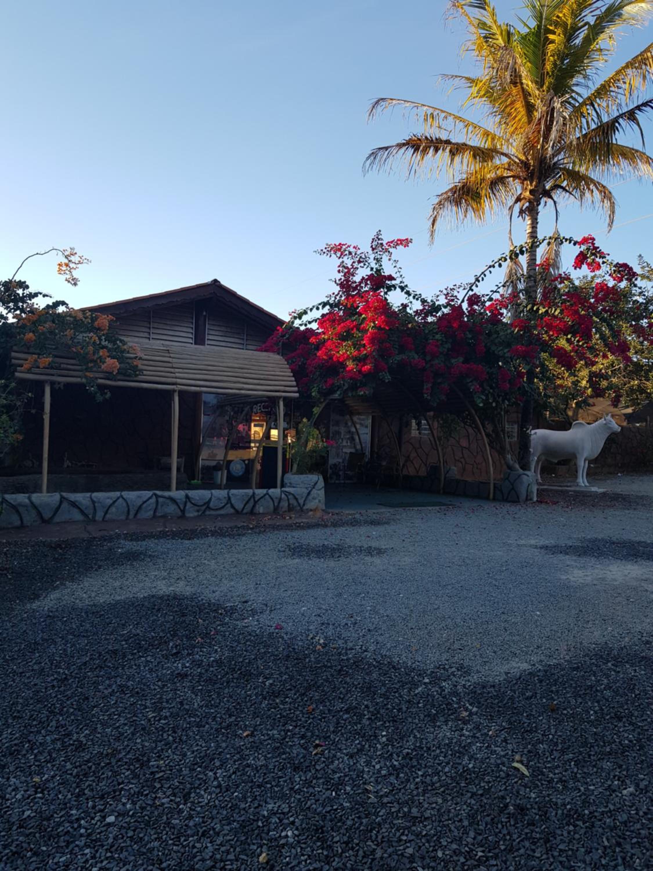 Camping Clube e Pousada Novilha de Ouro