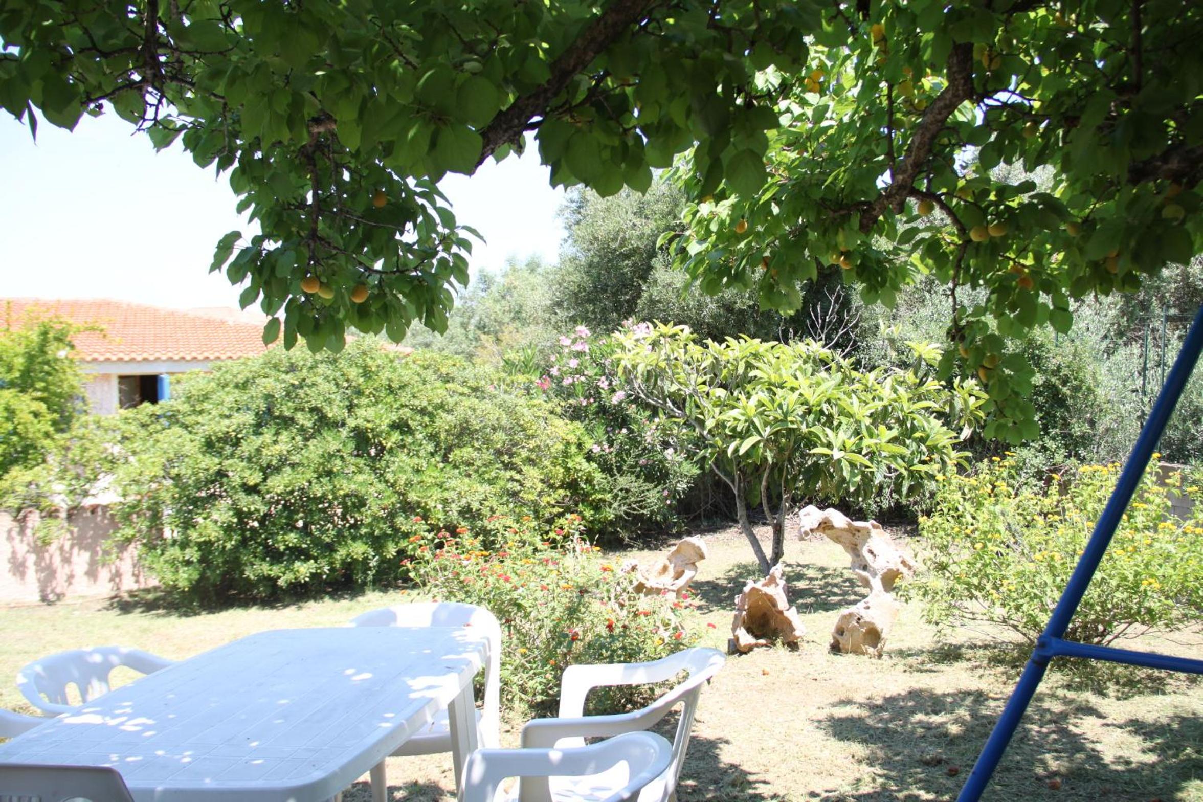 Photo 42