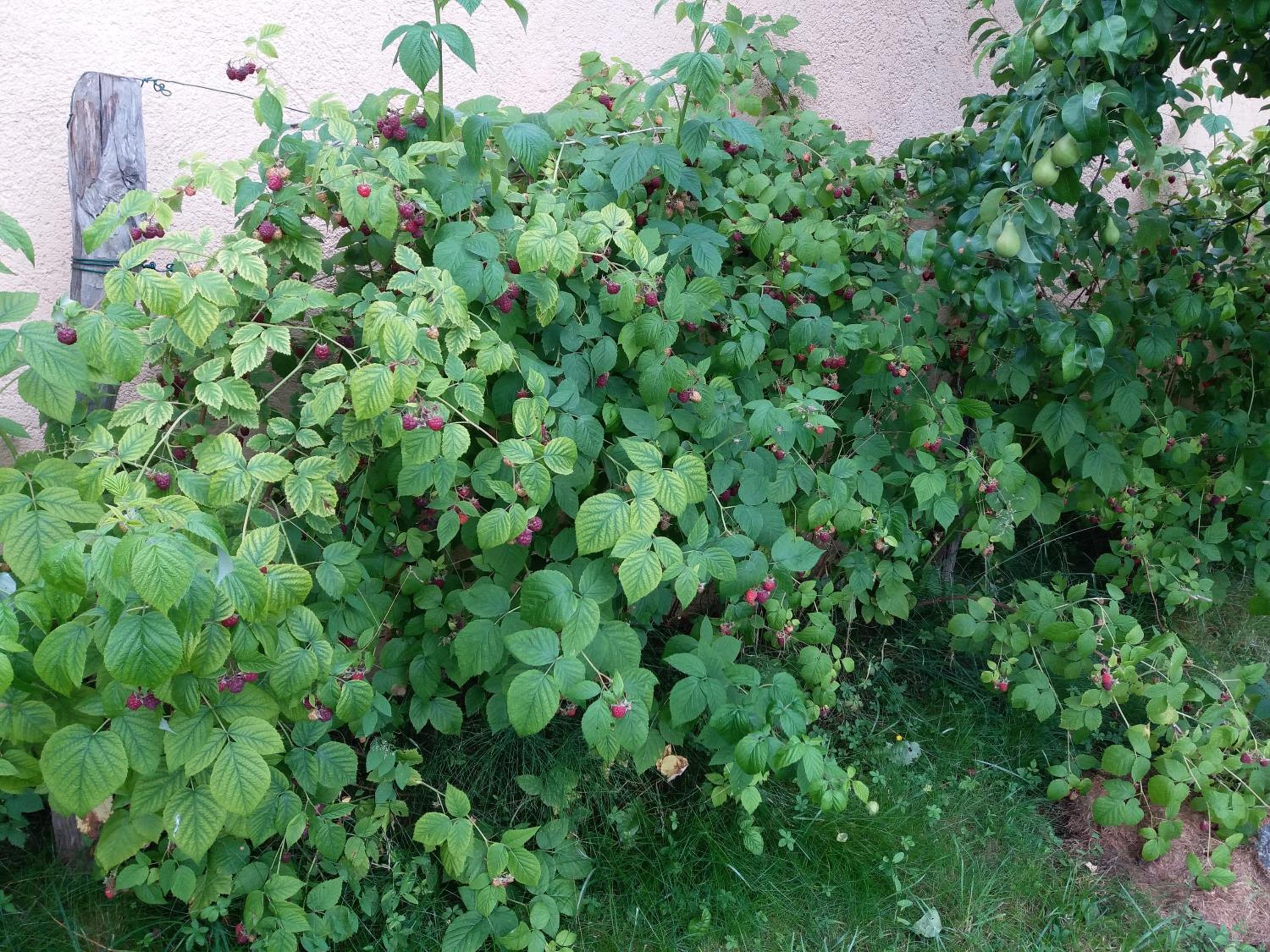 Photo 30