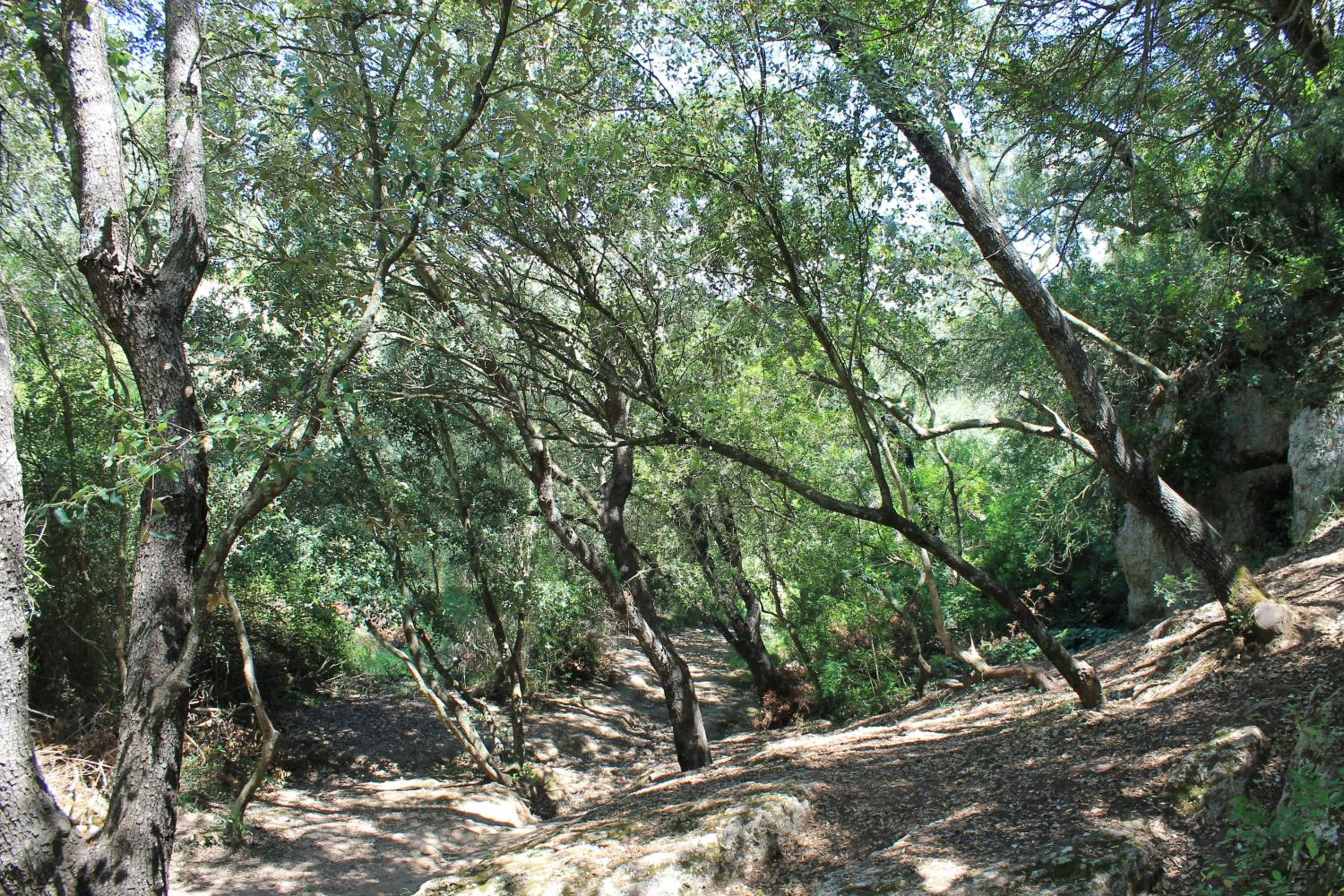 Photo 42
