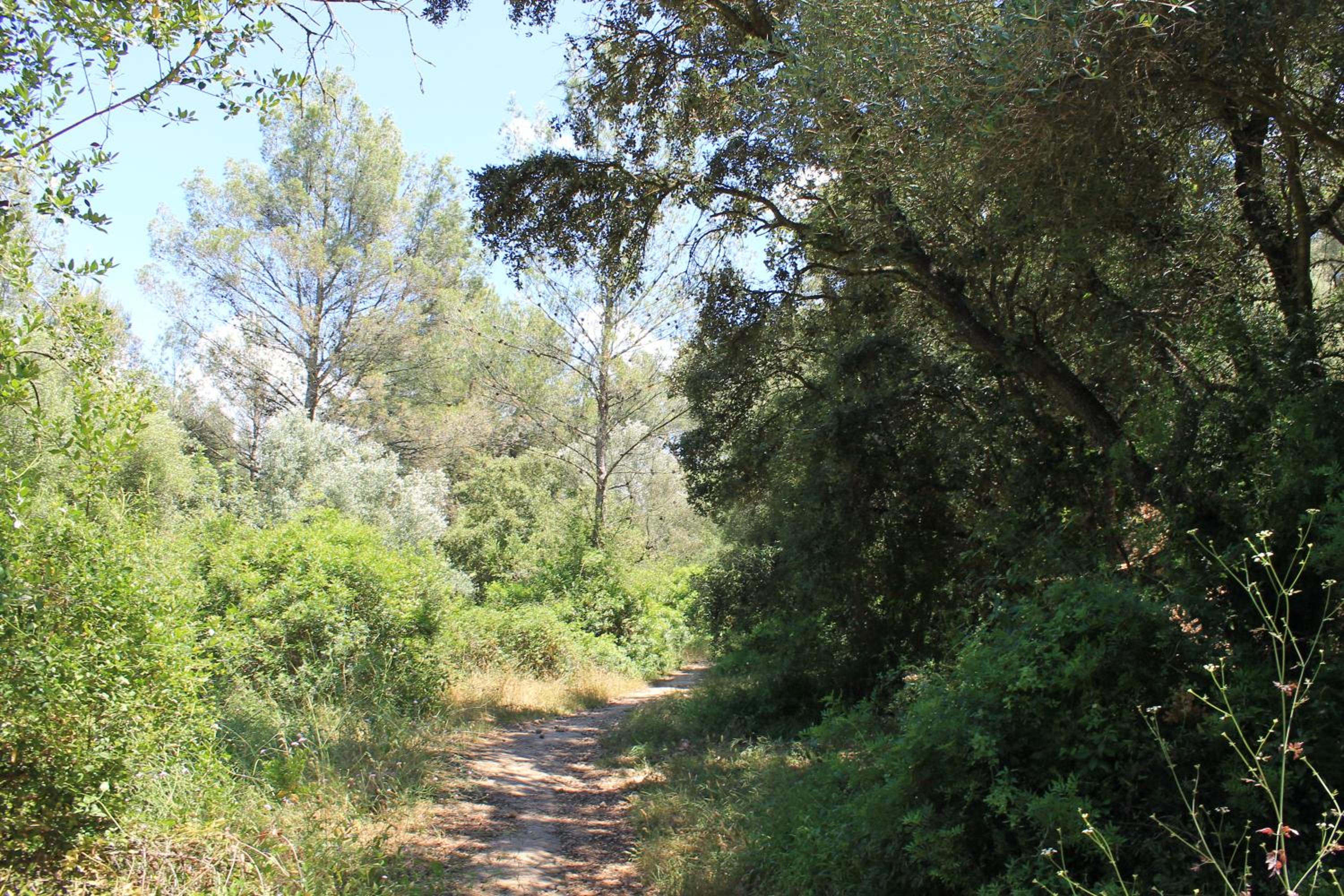Photo 41