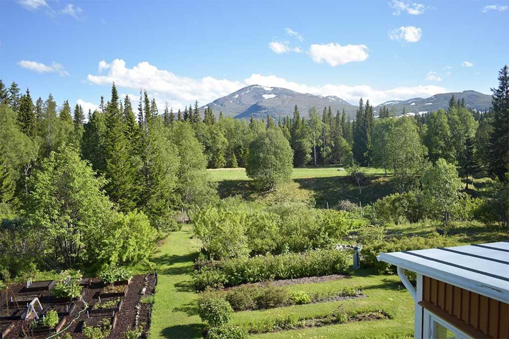 Enaforsholm Fjällgård