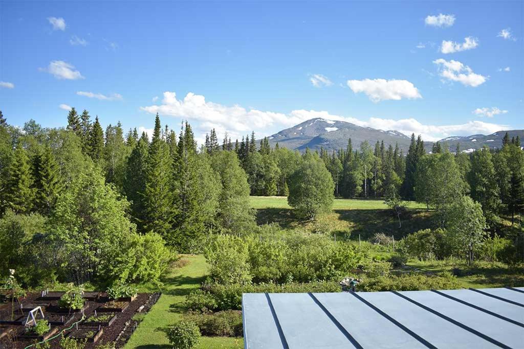 Enaforsholm Fjällgård