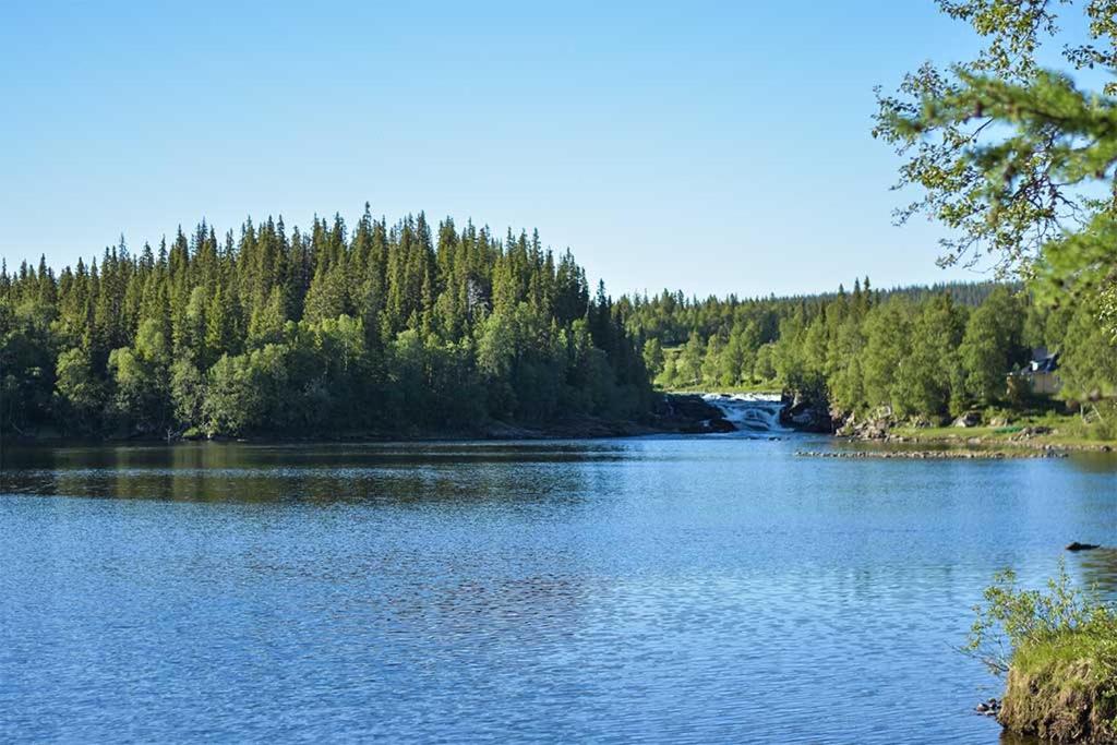 Enaforsholm Fjällgård