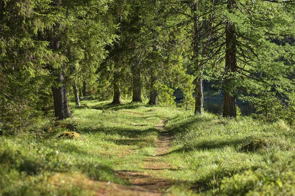 Enaforsholm Fjällgård