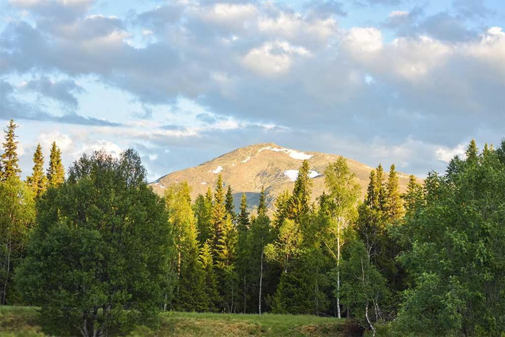 Enaforsholm Fjällgård