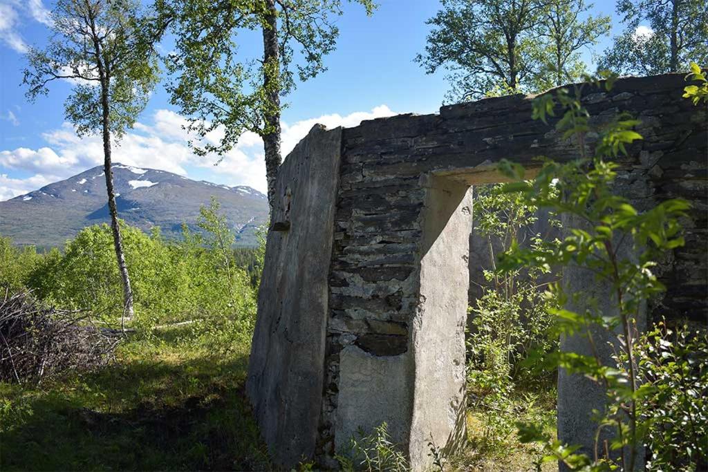 Enaforsholm Fjällgård